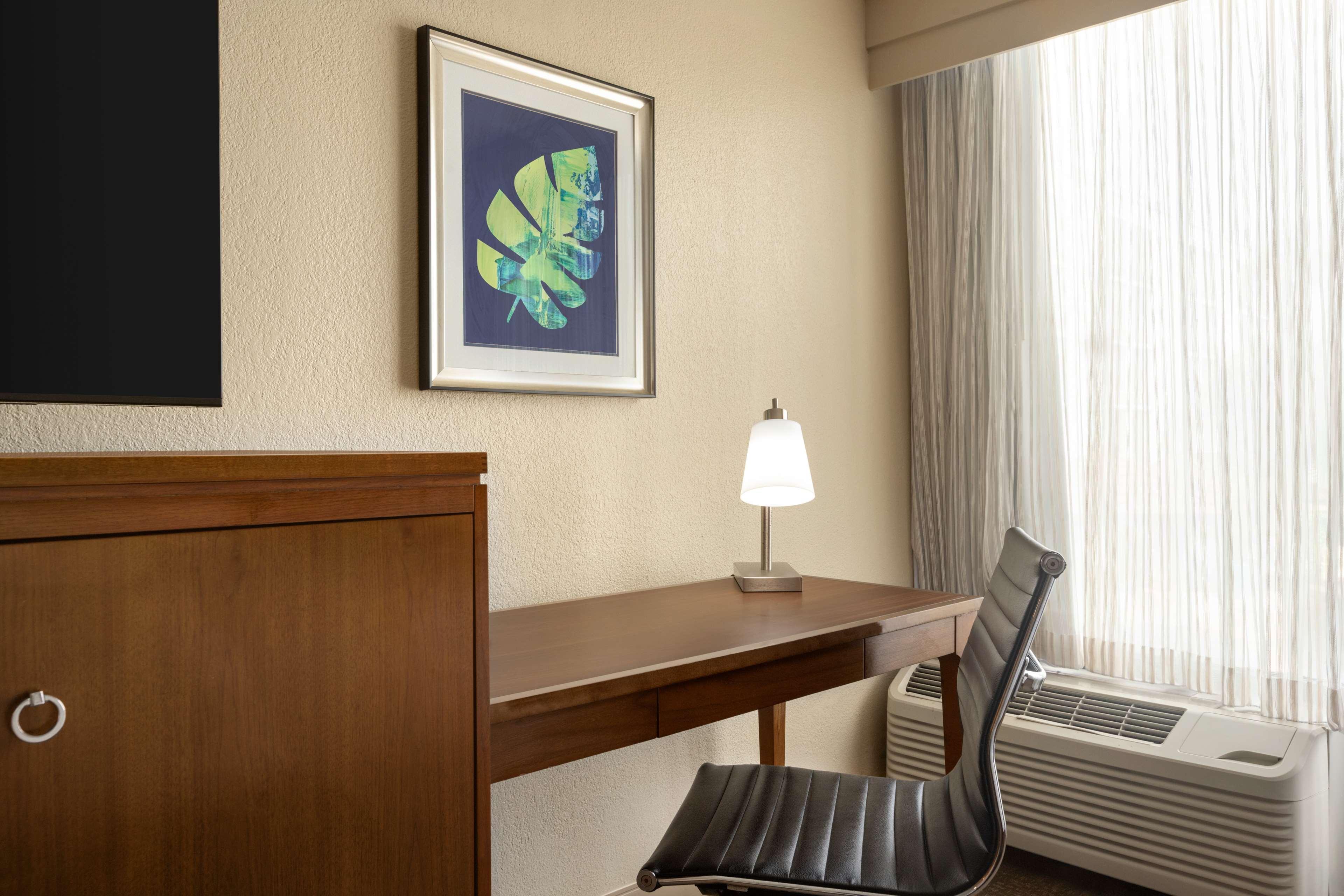 Double Accessible King Size Bed