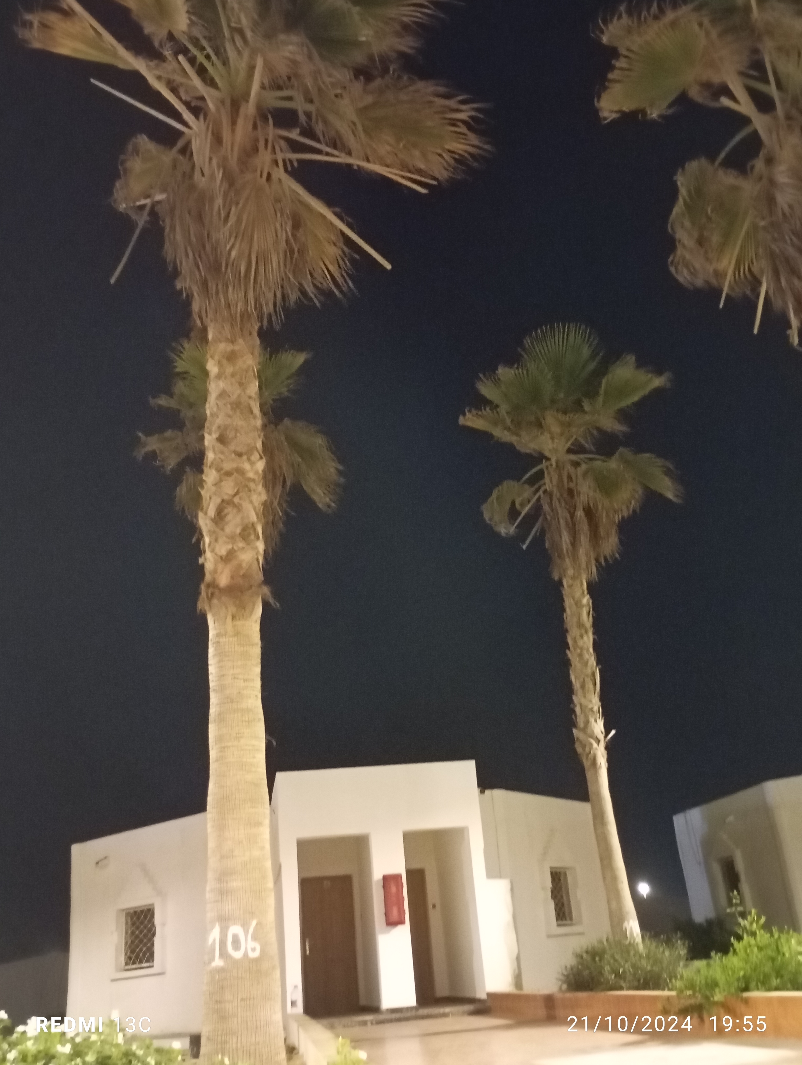 Suite Executive King Bed