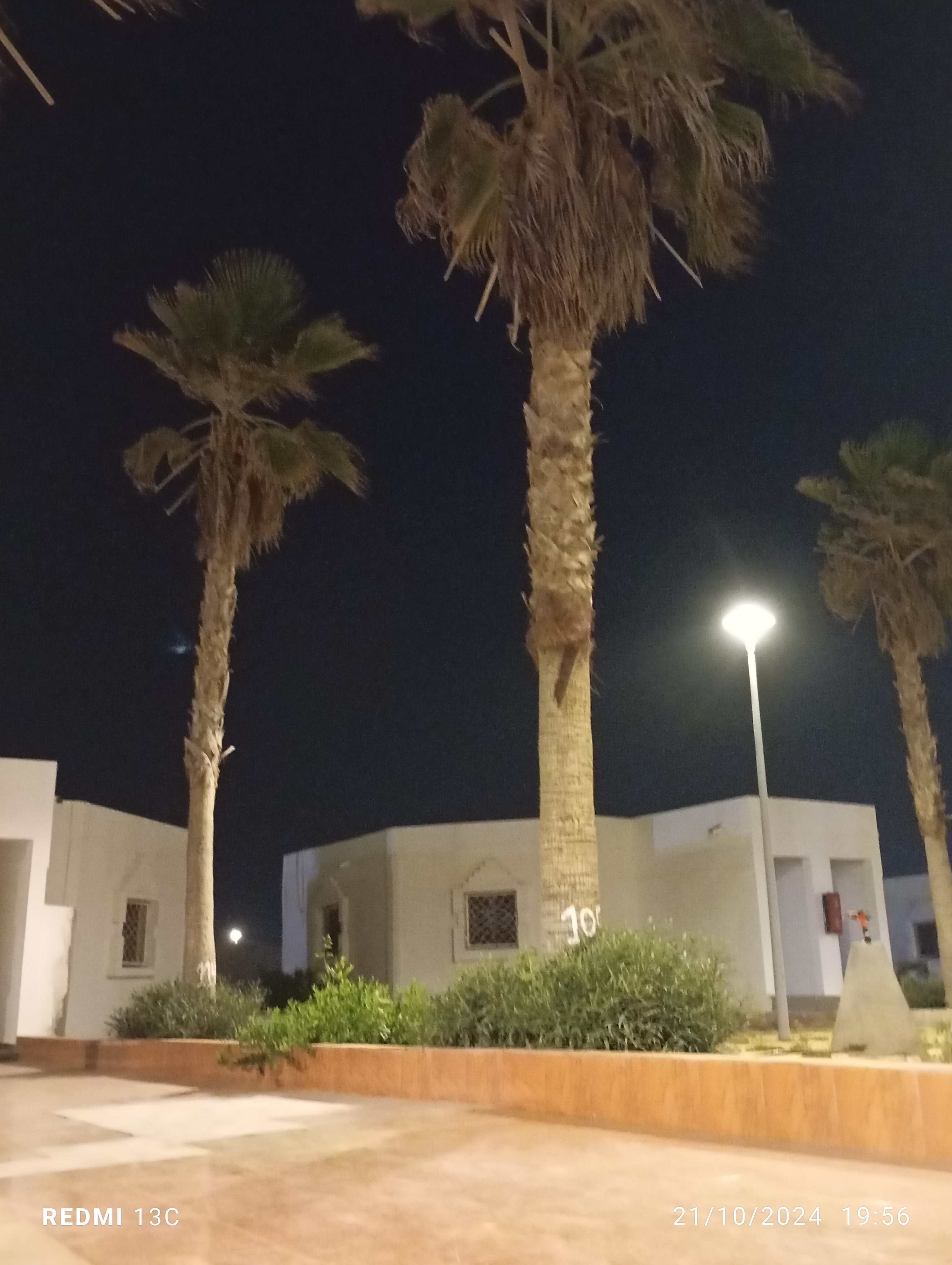 Suite Executive King Bed