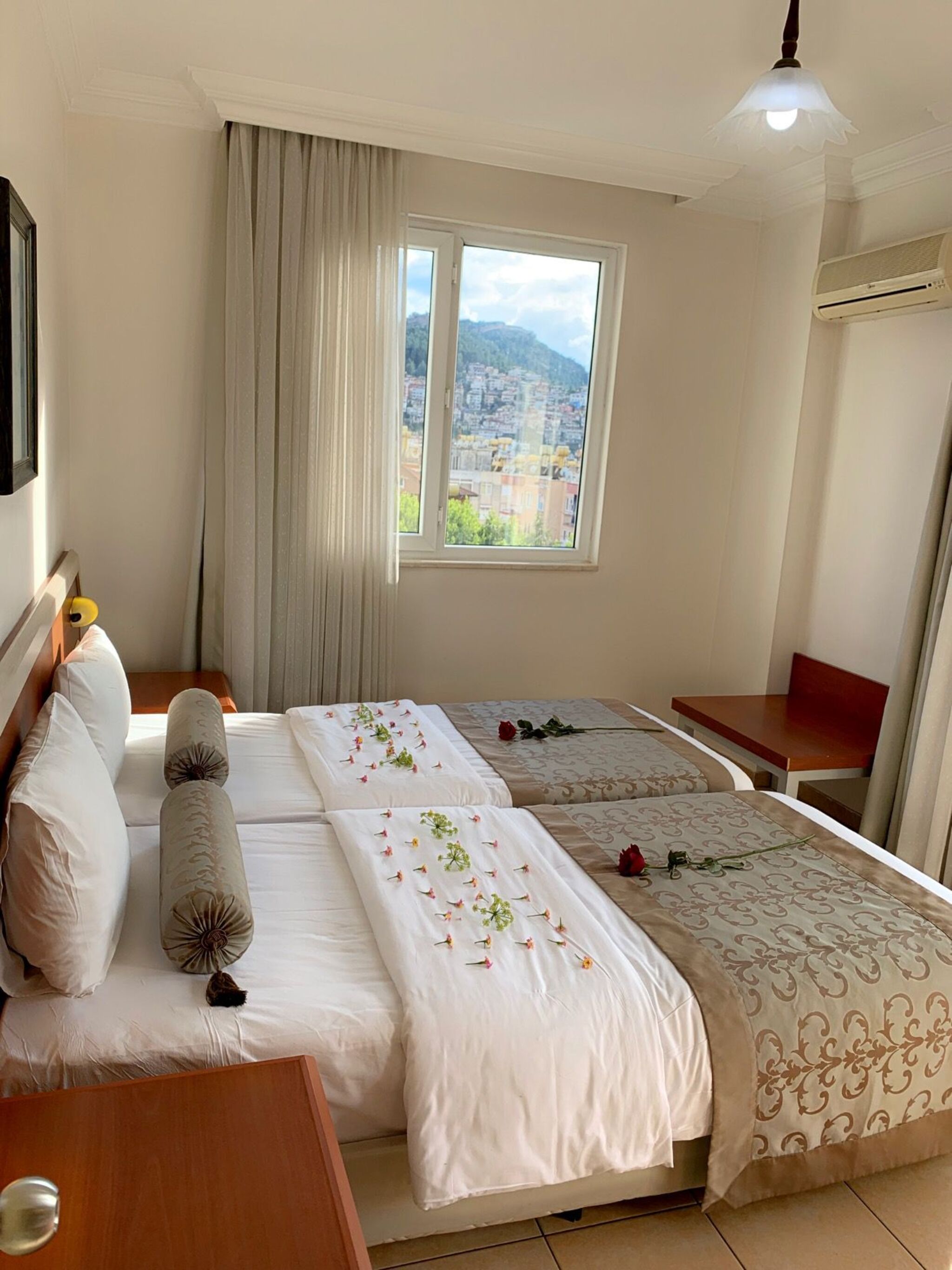 Family Room Standard