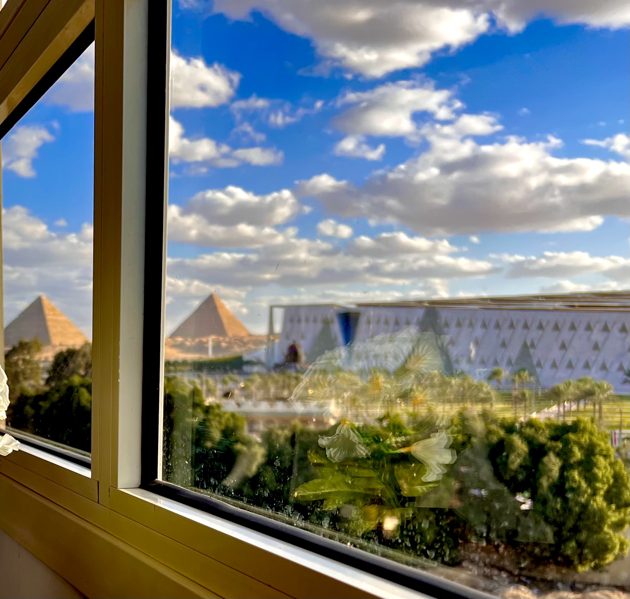 Double Deluxe King Bed