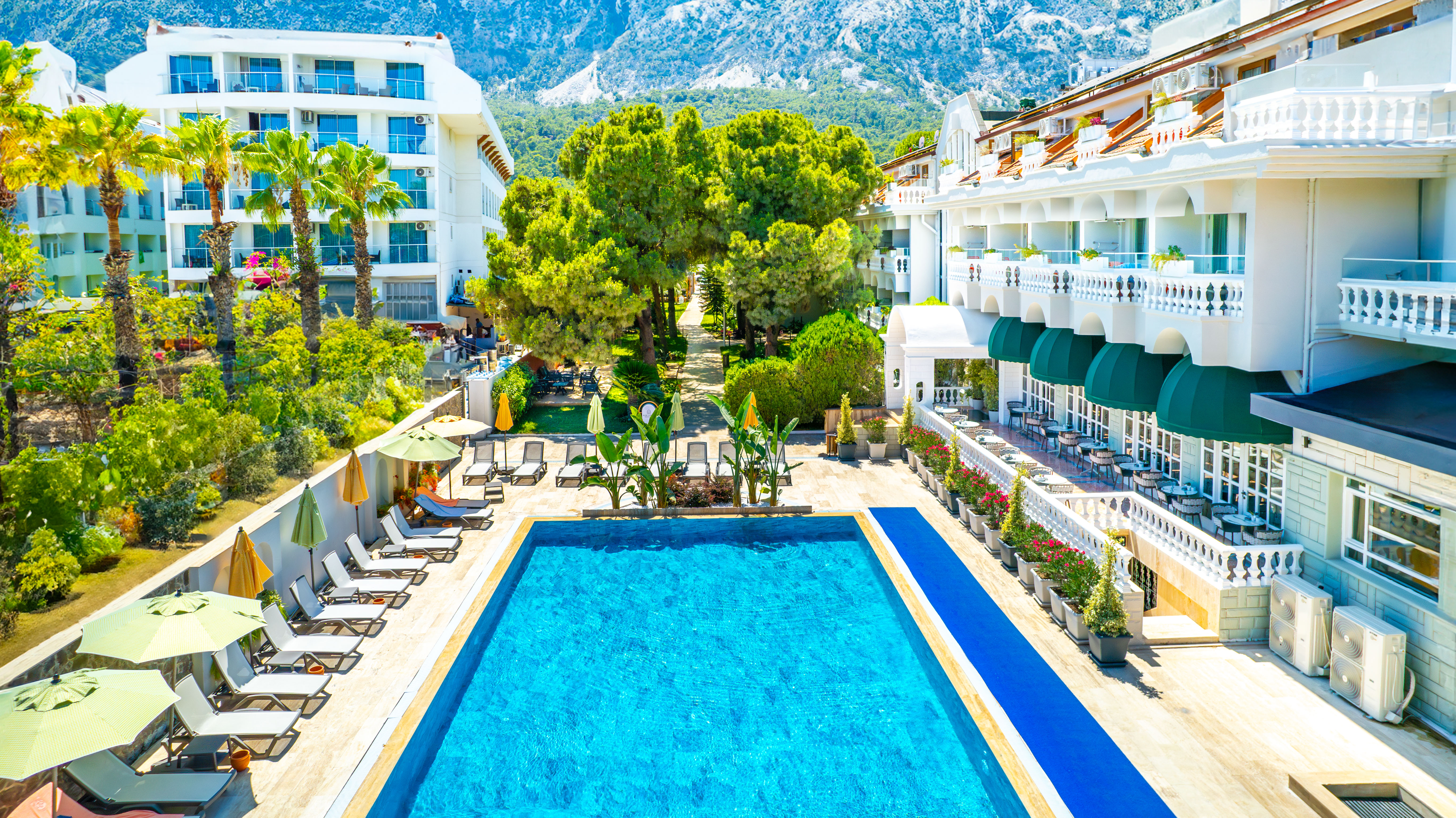 Double or Twin Standard