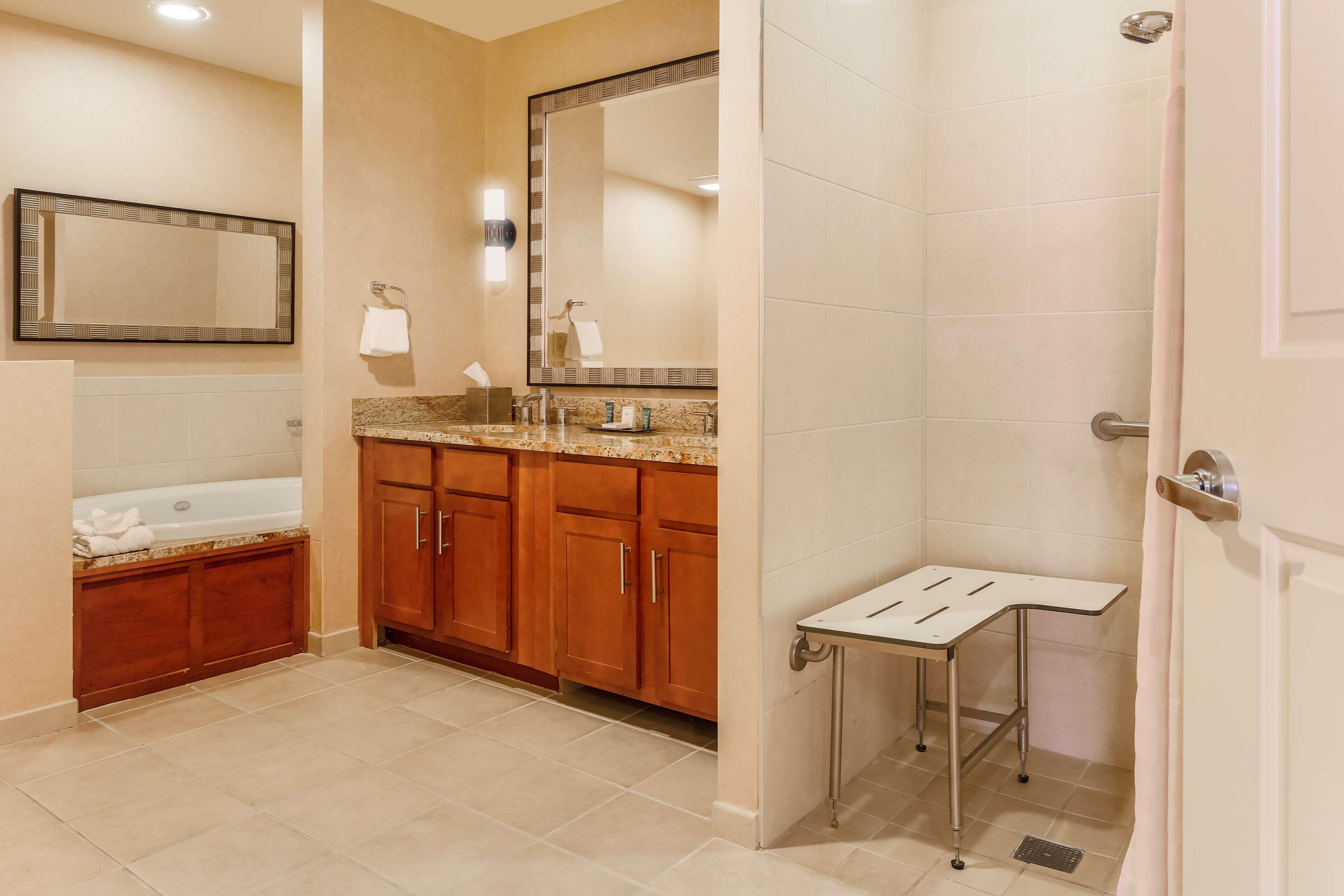 Suite King Bed One Bedroom 