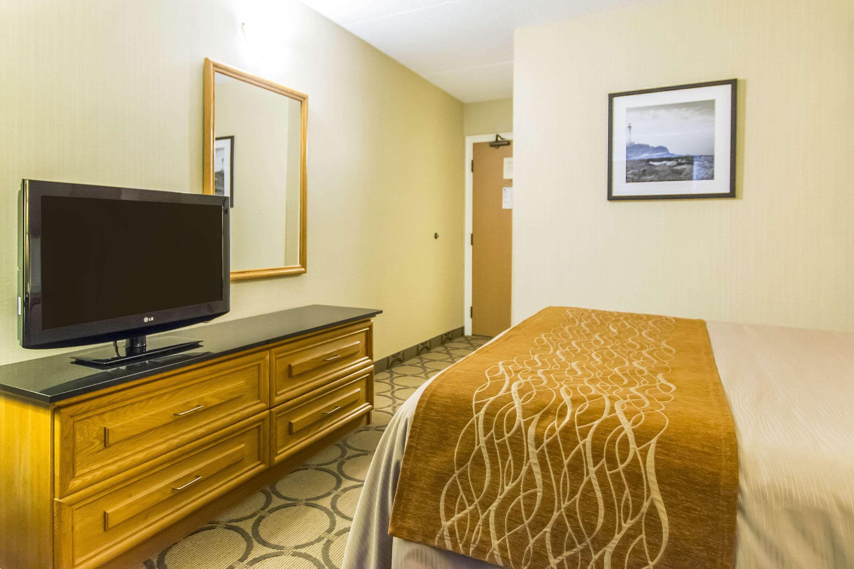 Double Queen Size Bed