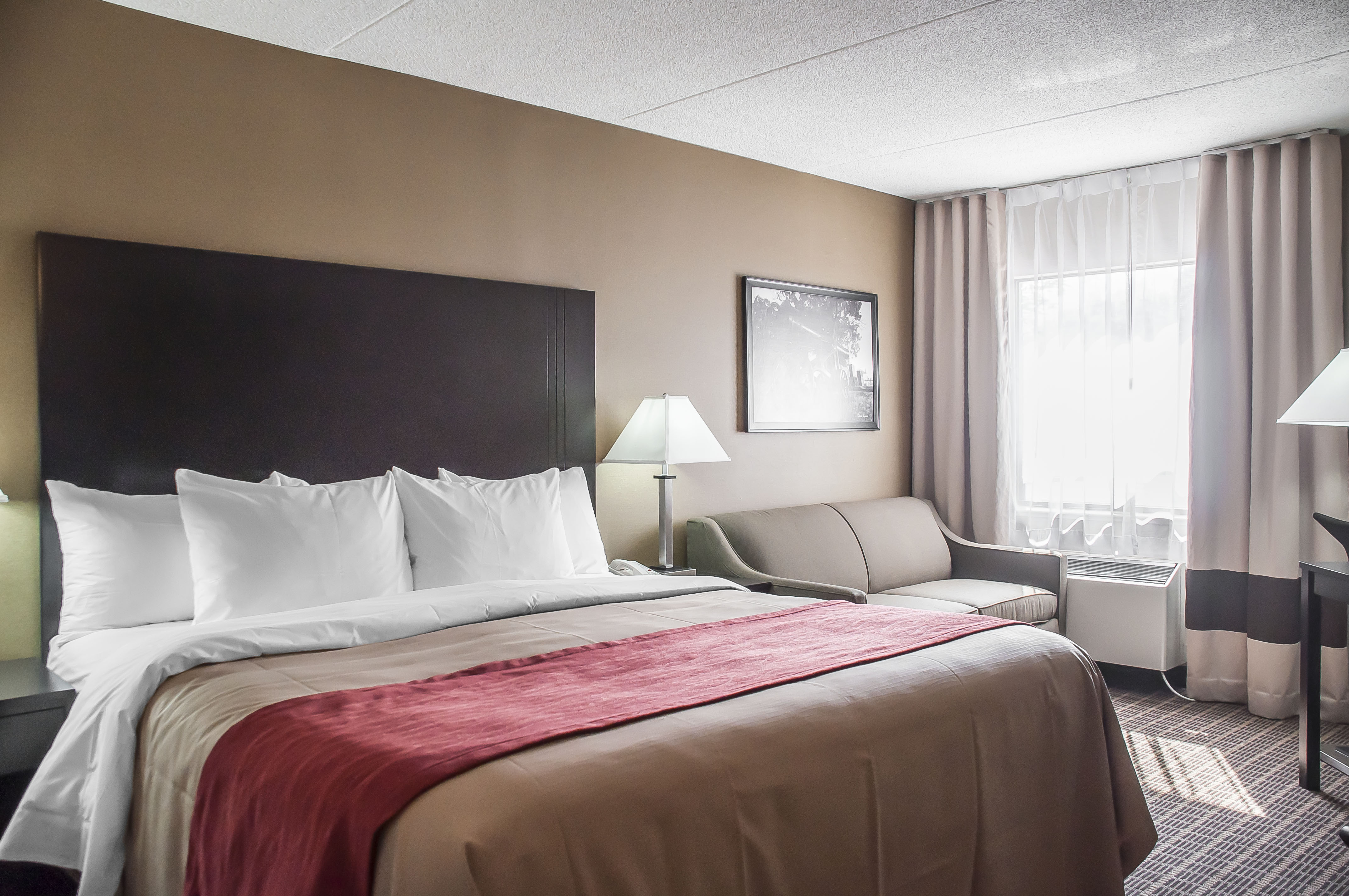 Suite King Bed Non Smoking