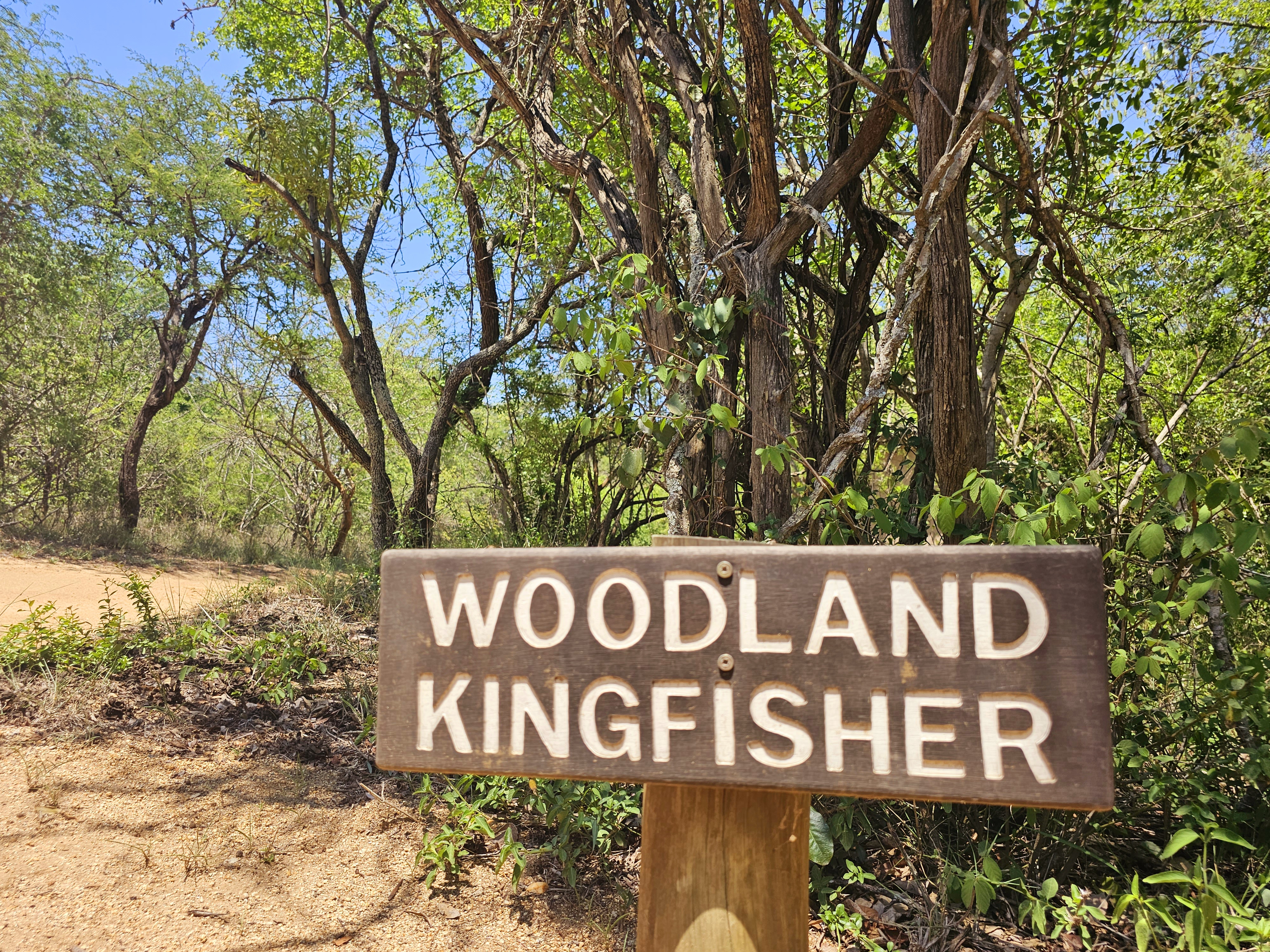 Double or Twin Two Beds