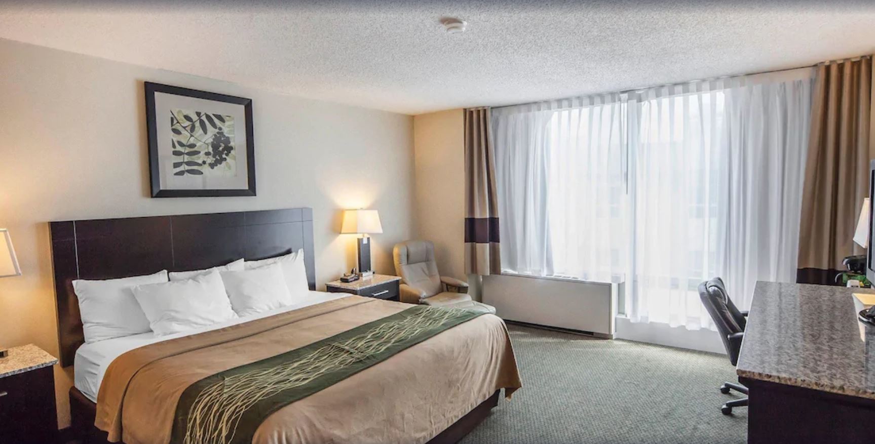 Suite King Bed Non Smoking