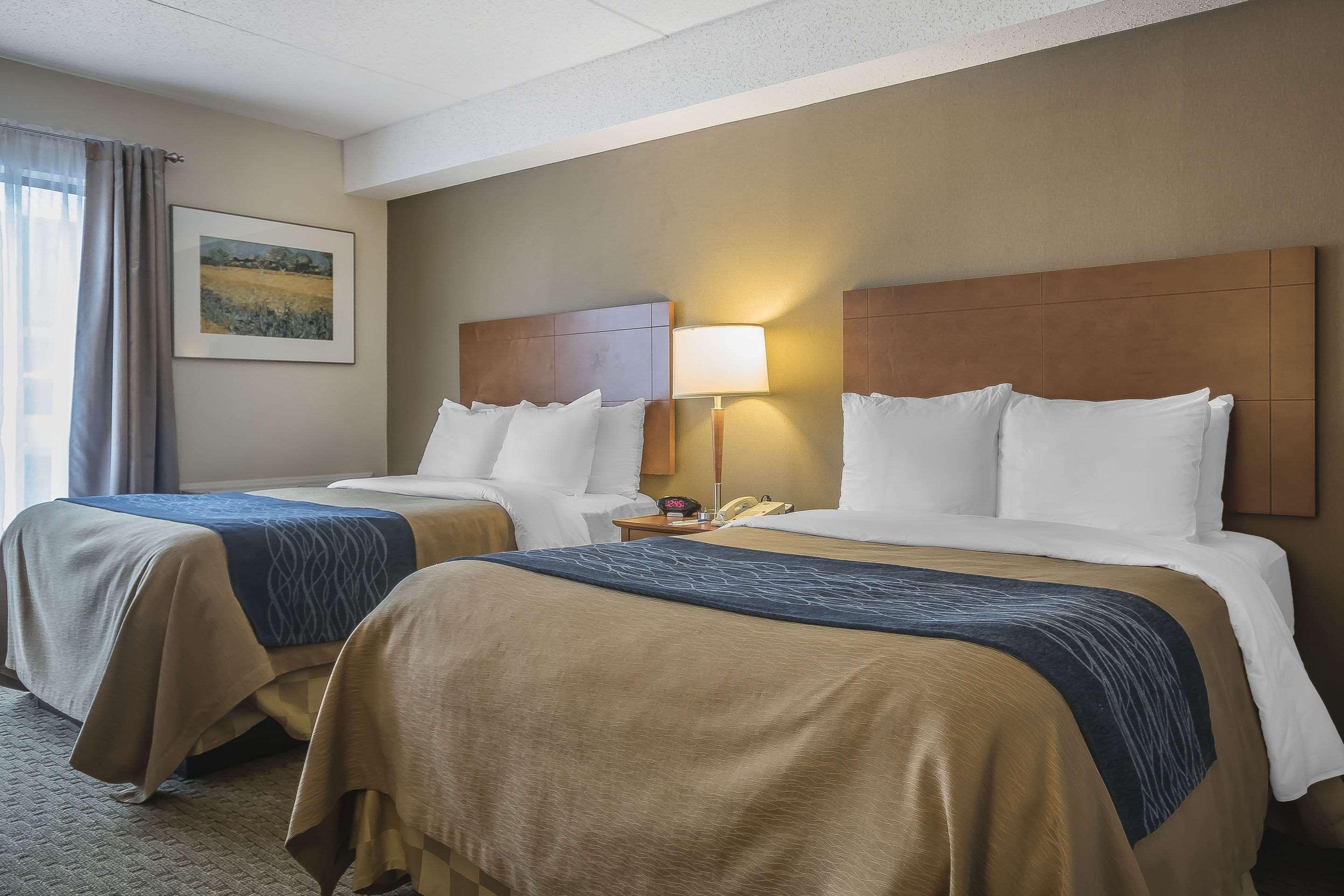 Double King Bed Non Smoking