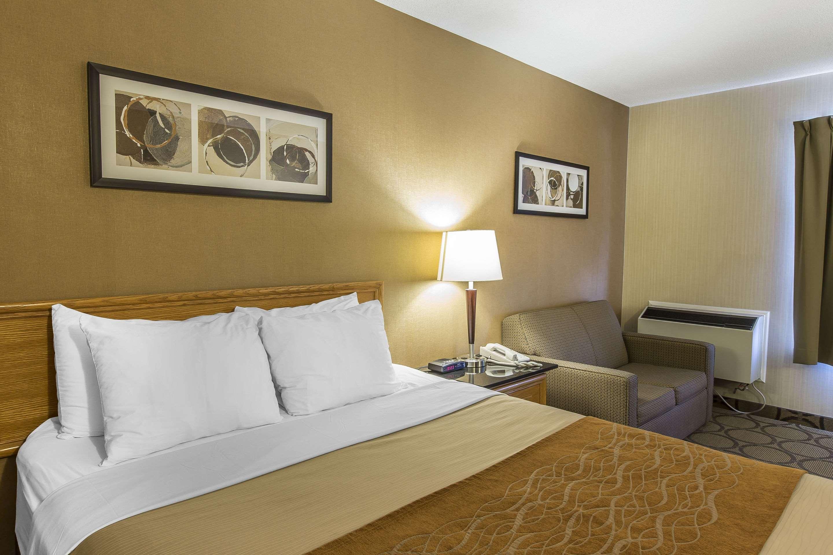 Double Queen Size Bed