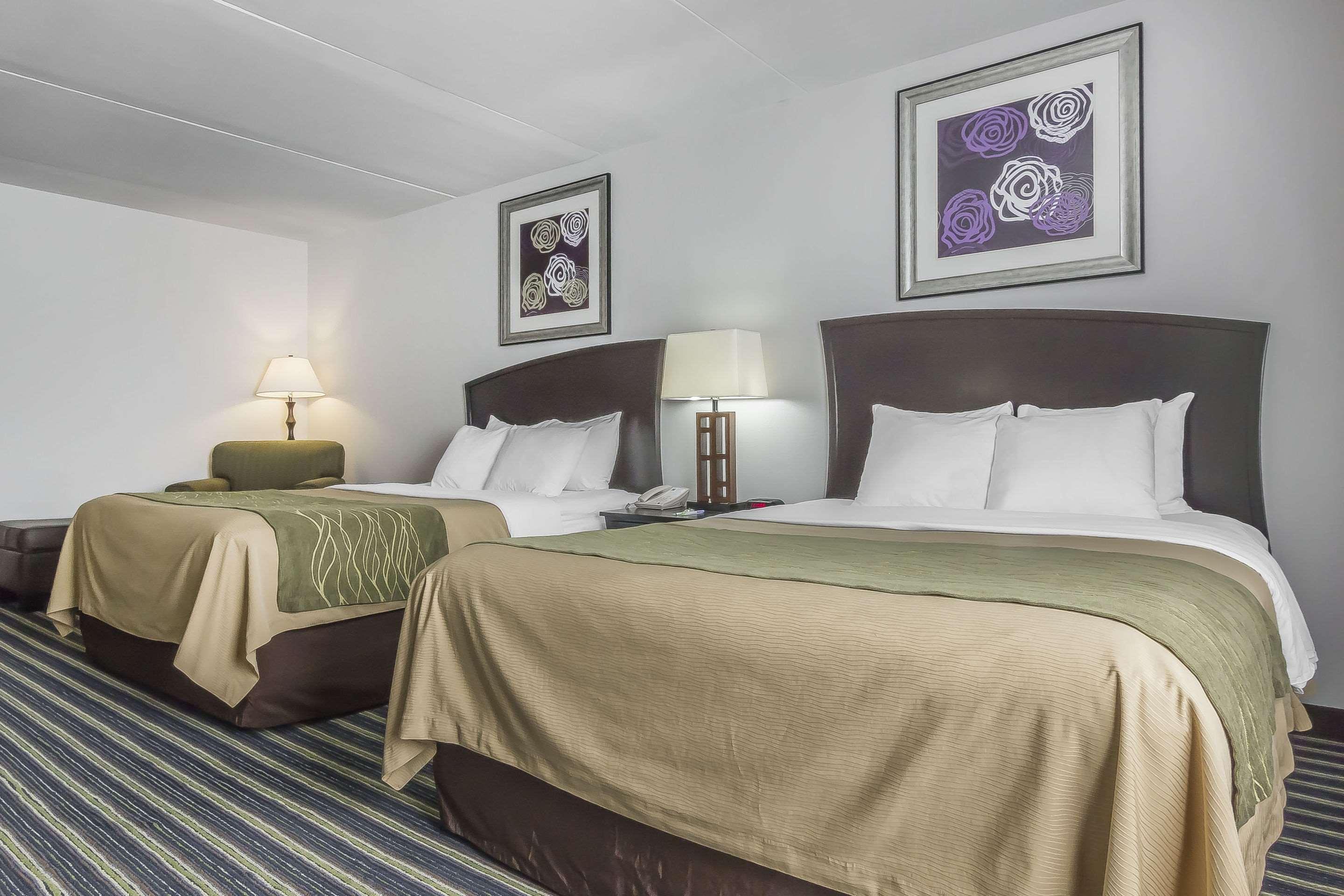 Quadruple Two Queen Beds