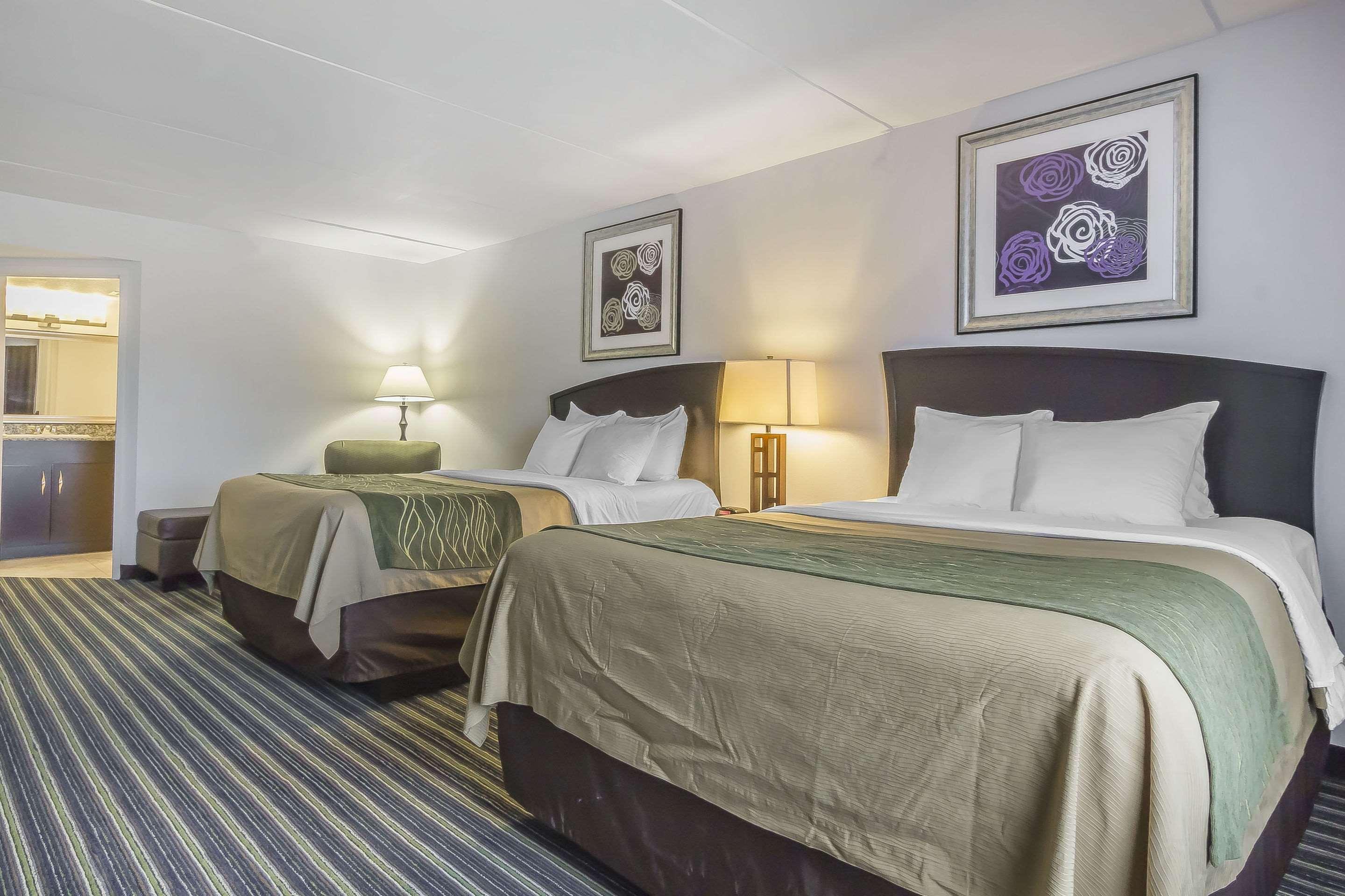 Double Two Queen Beds