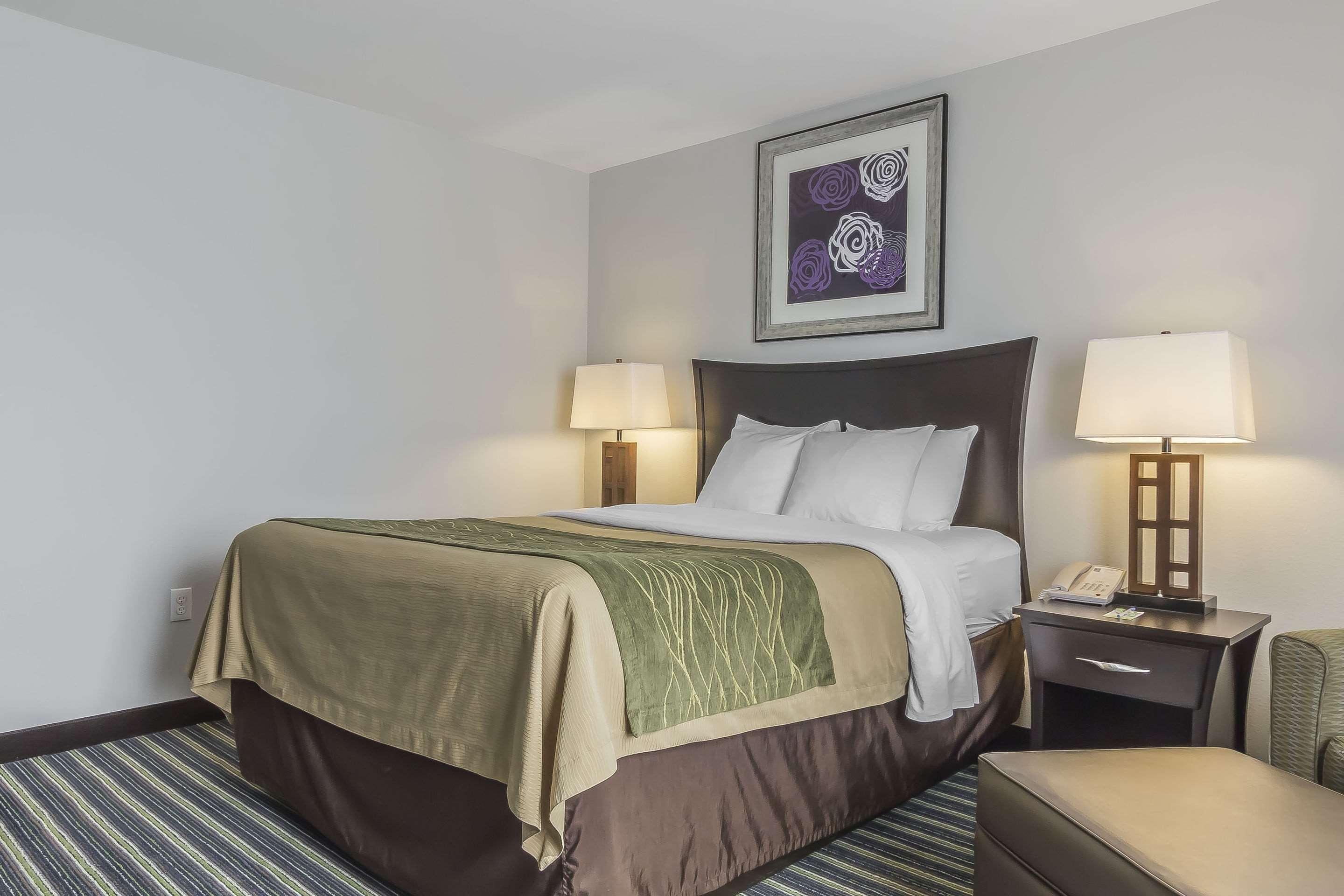 Double Queen Size Bed