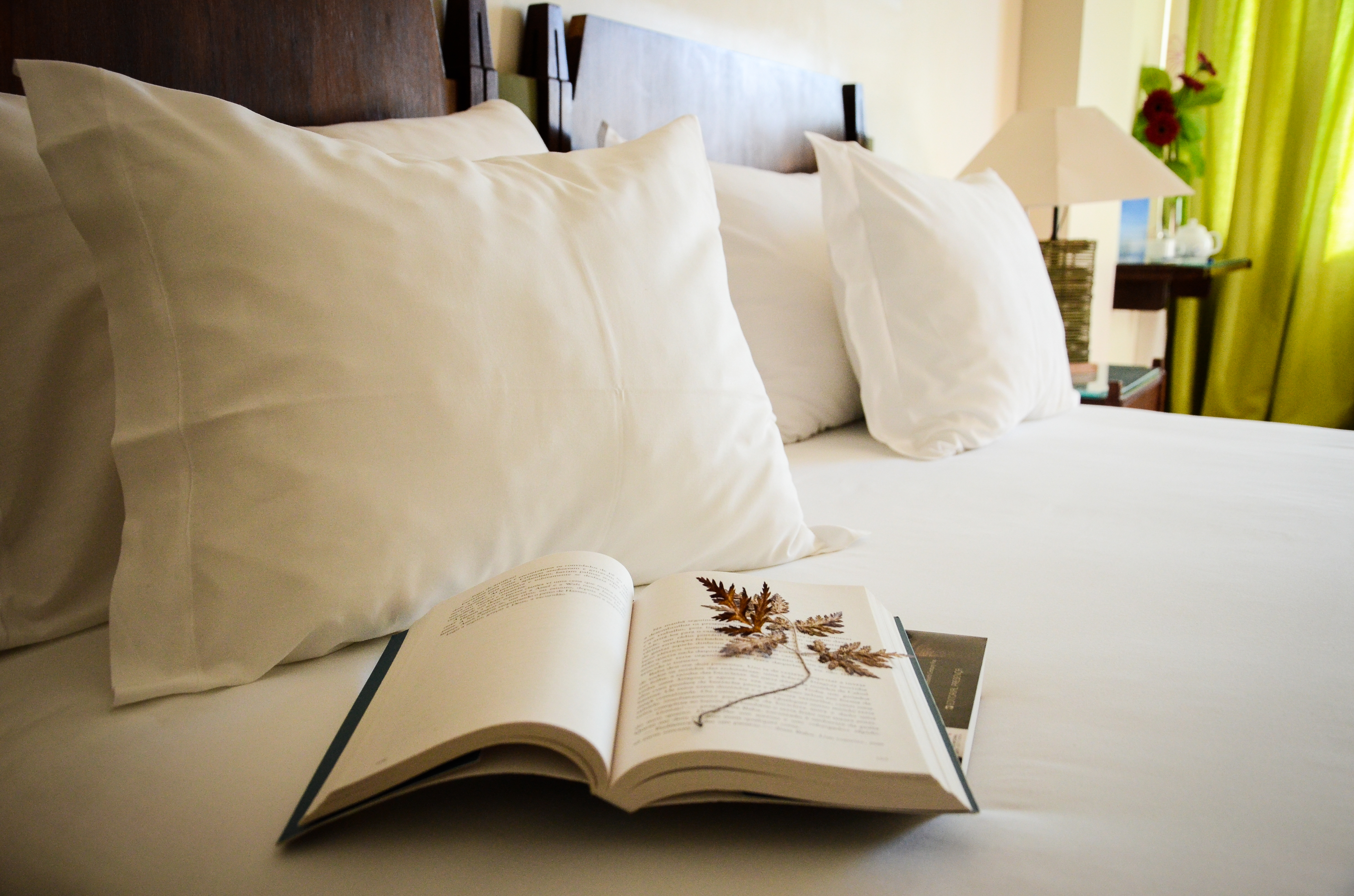 Double or Twin Superior