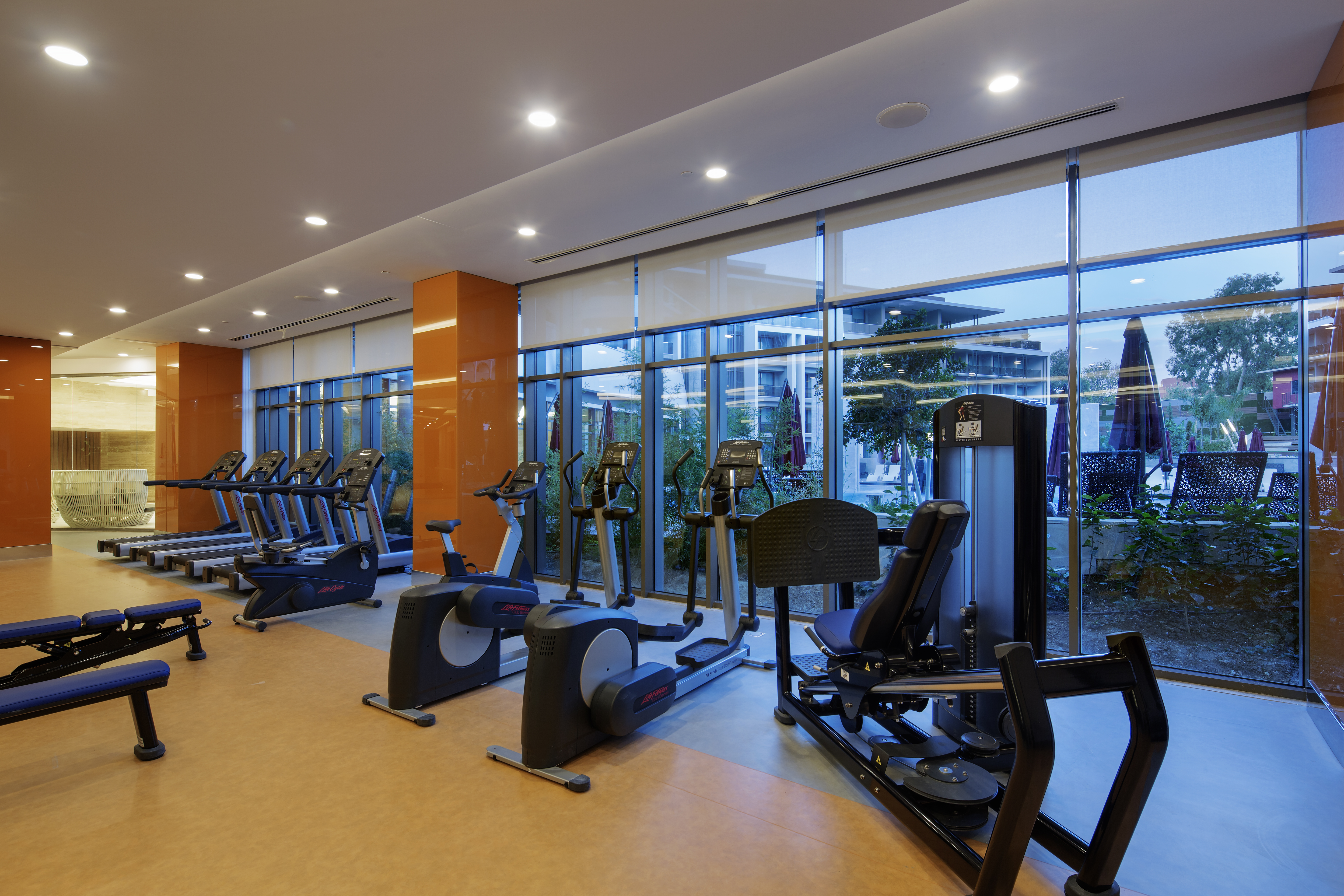 Sports and Entertainment