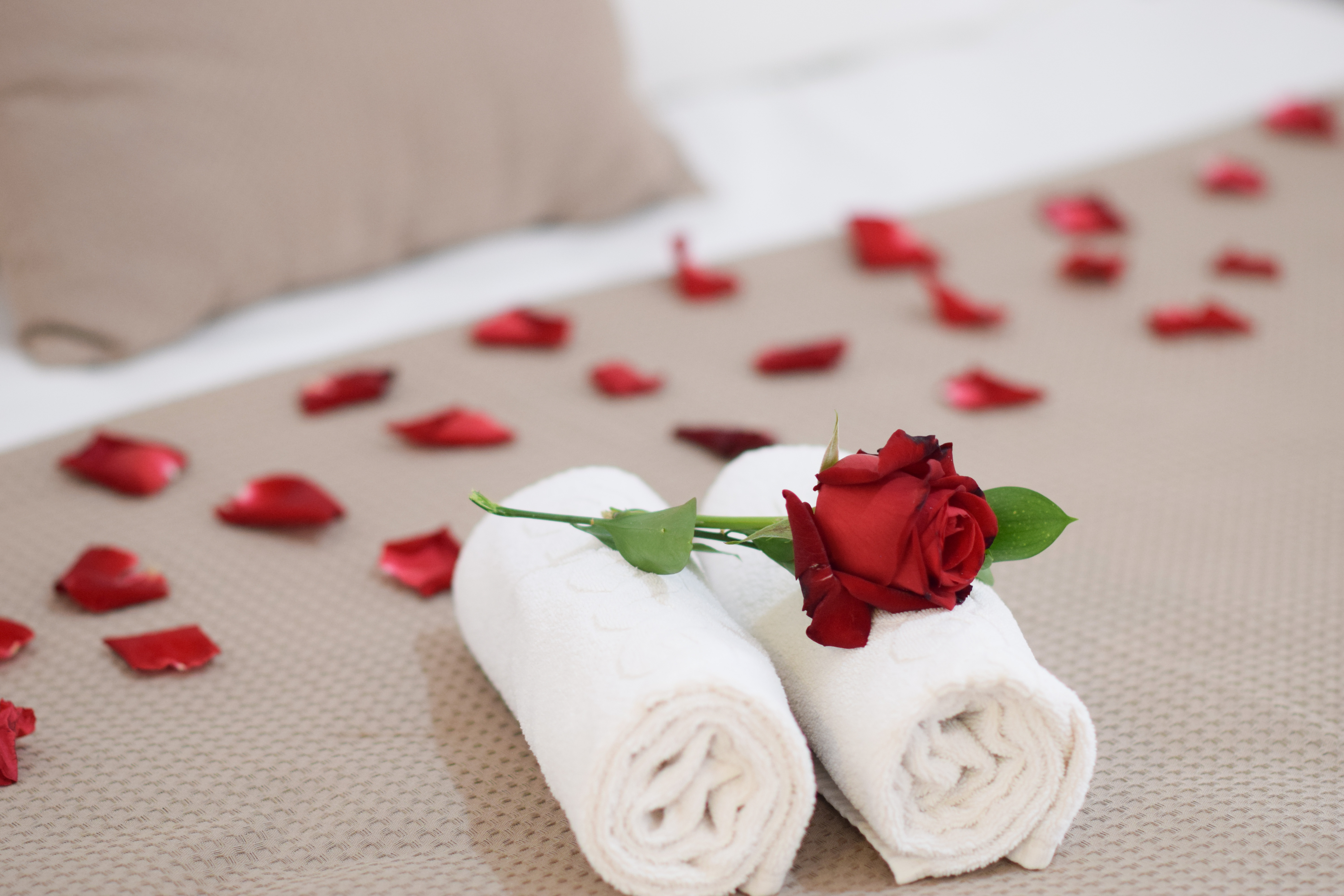 Double Superior with Views