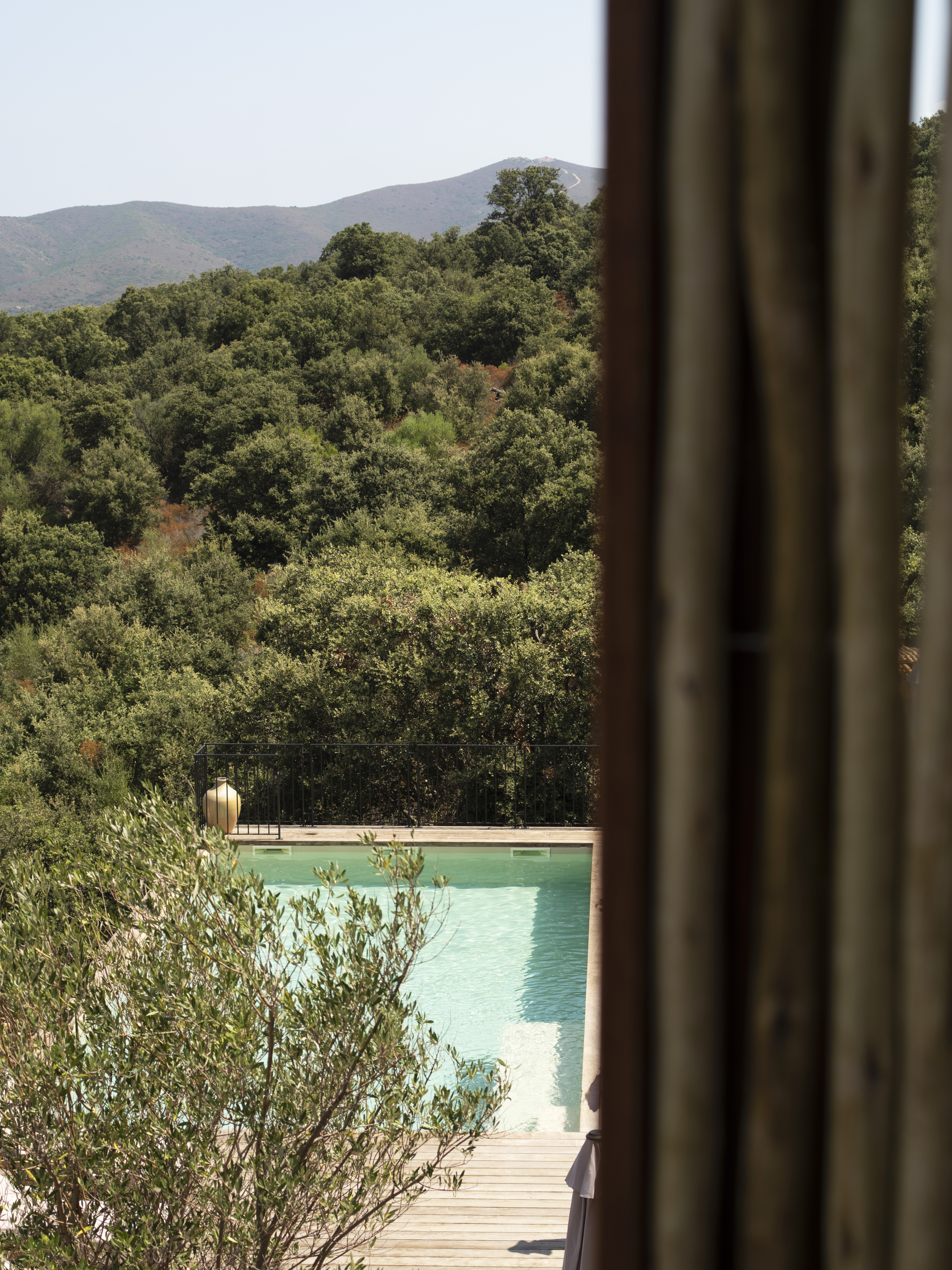 Apartment One Bedroom