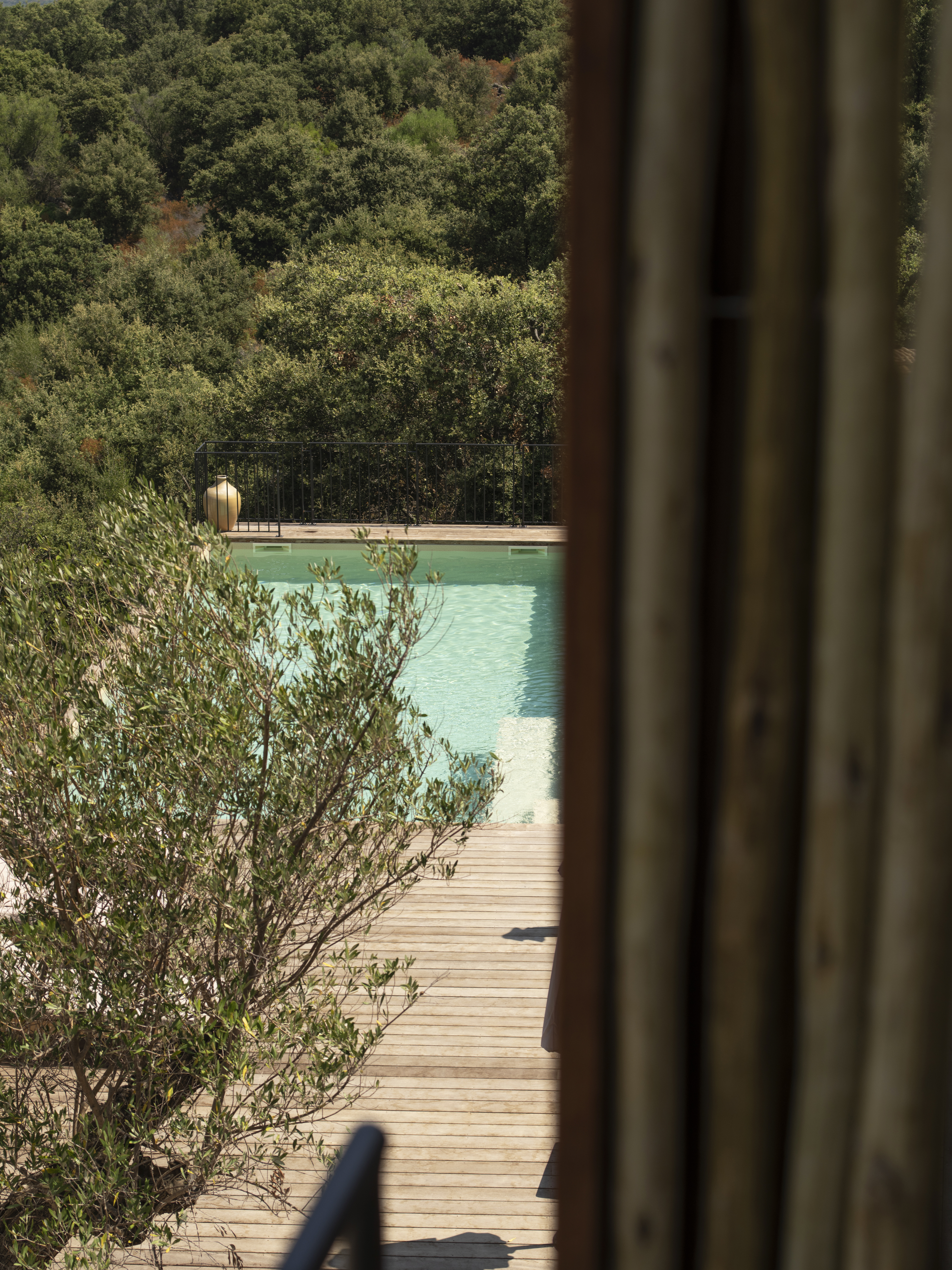 Apartment One Bedroom