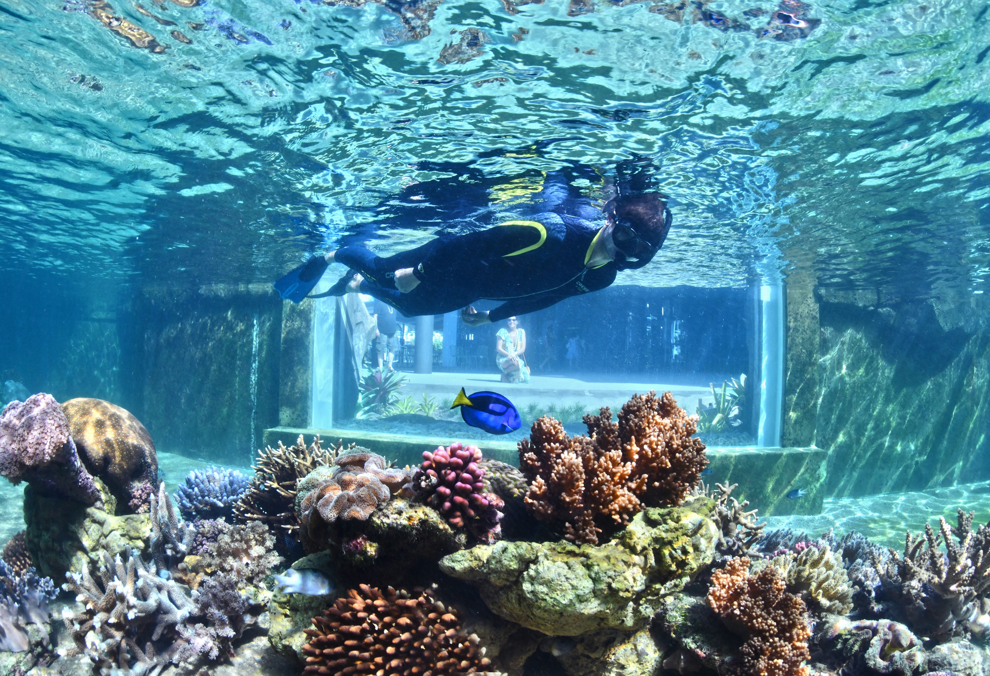 Sports and Entertainment