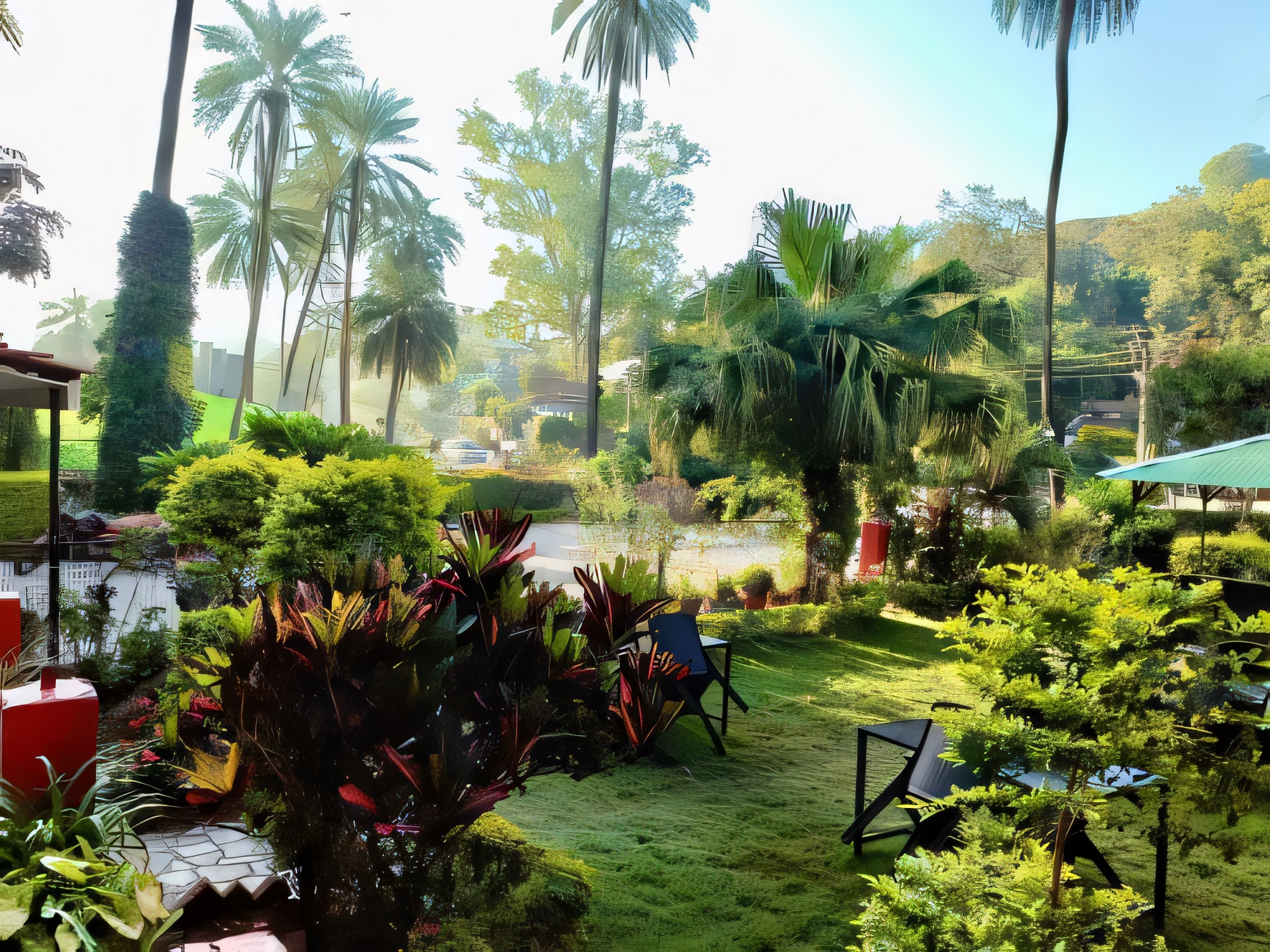 Sports and Entertainment