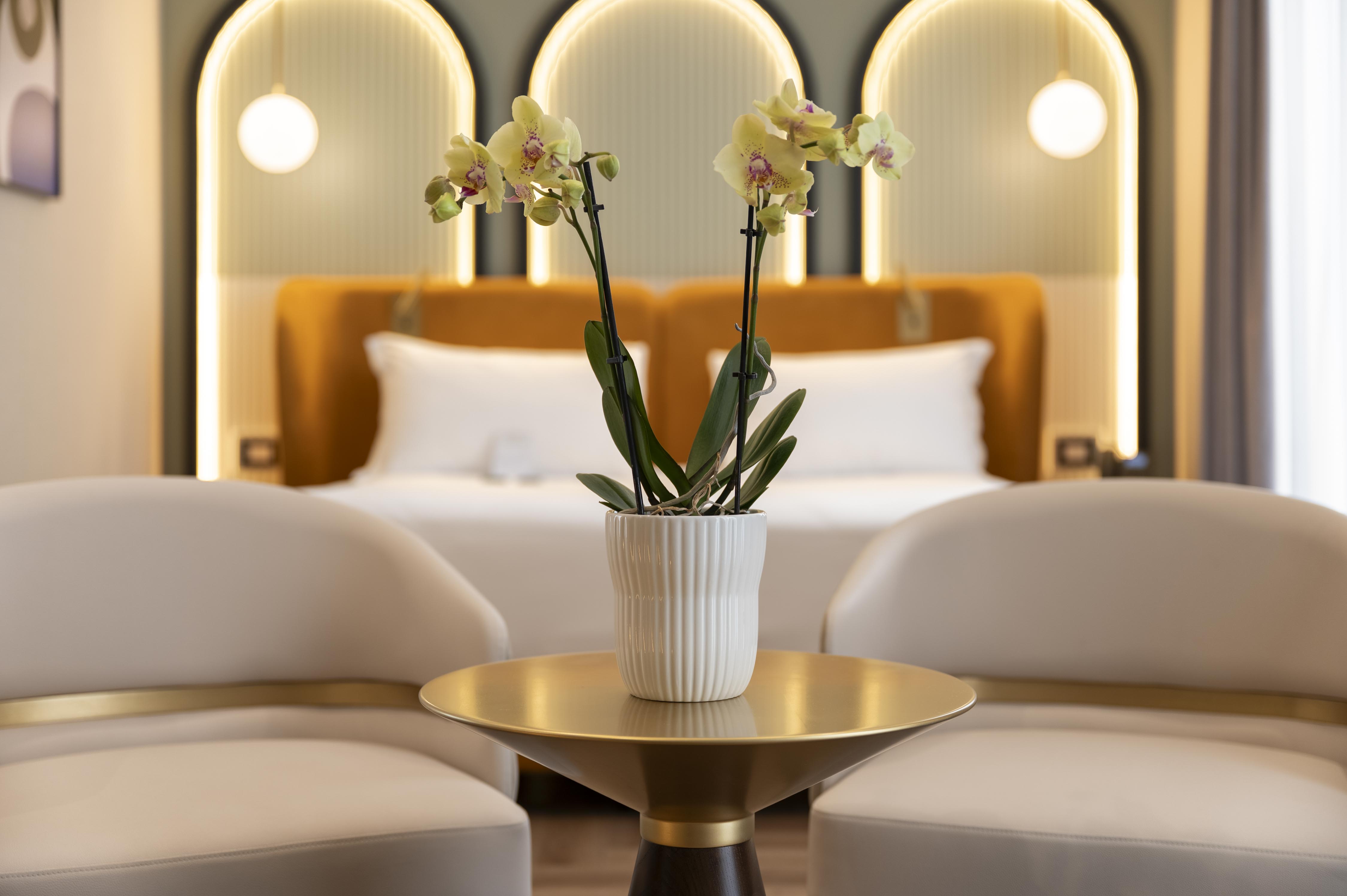 Junior Suite Standard