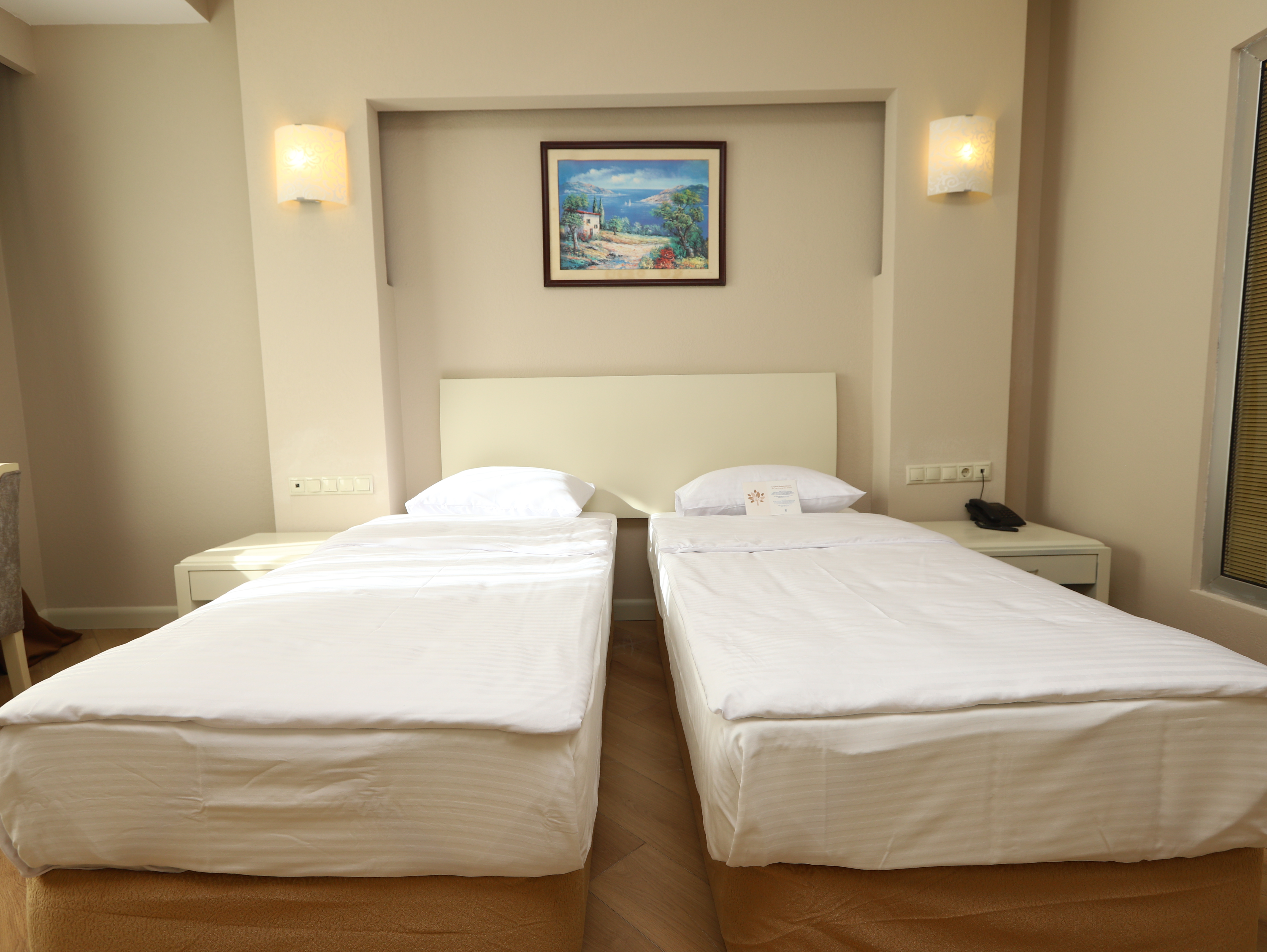 Double or Twin Superior