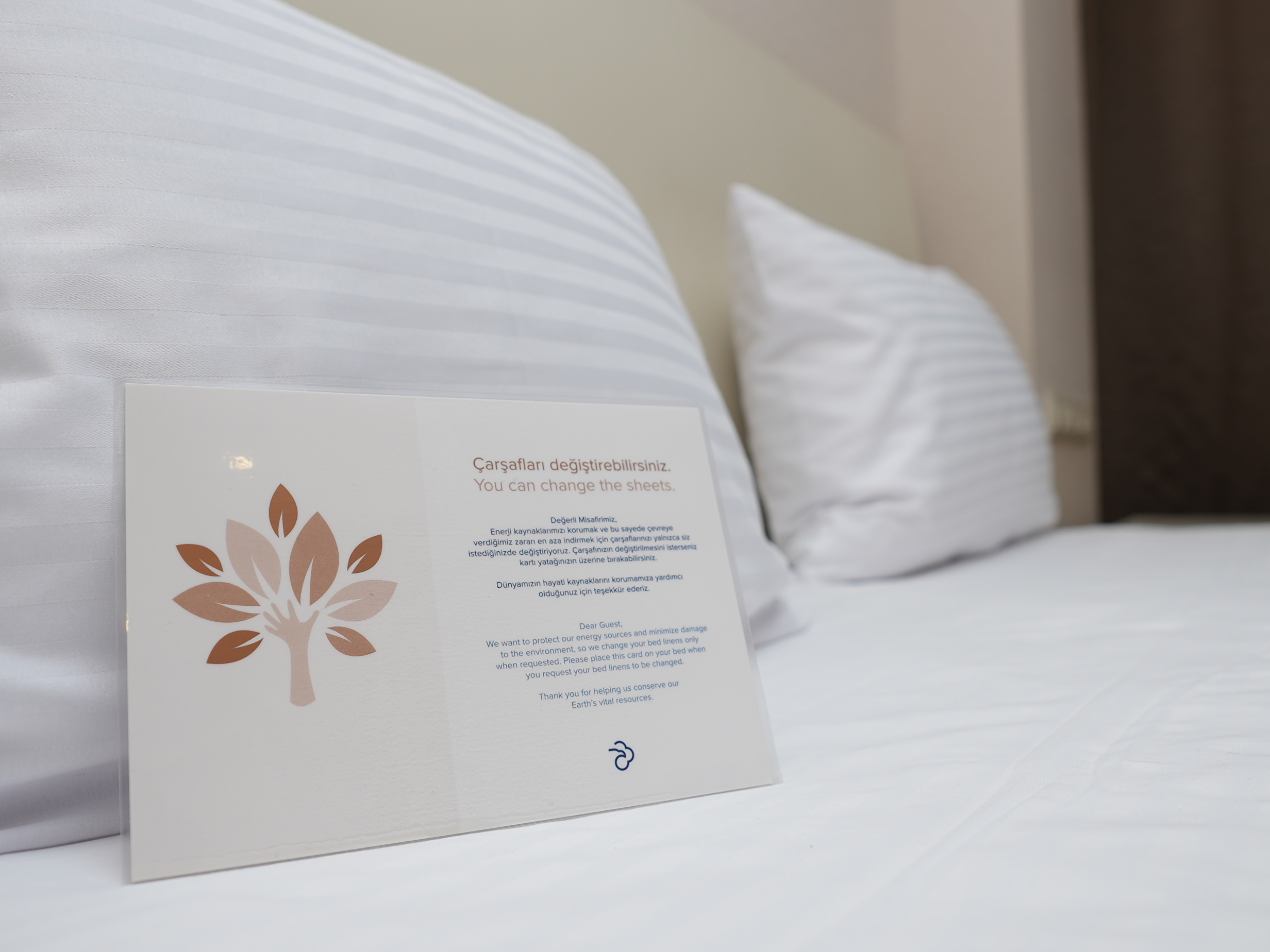 Single Deluxe Sea View