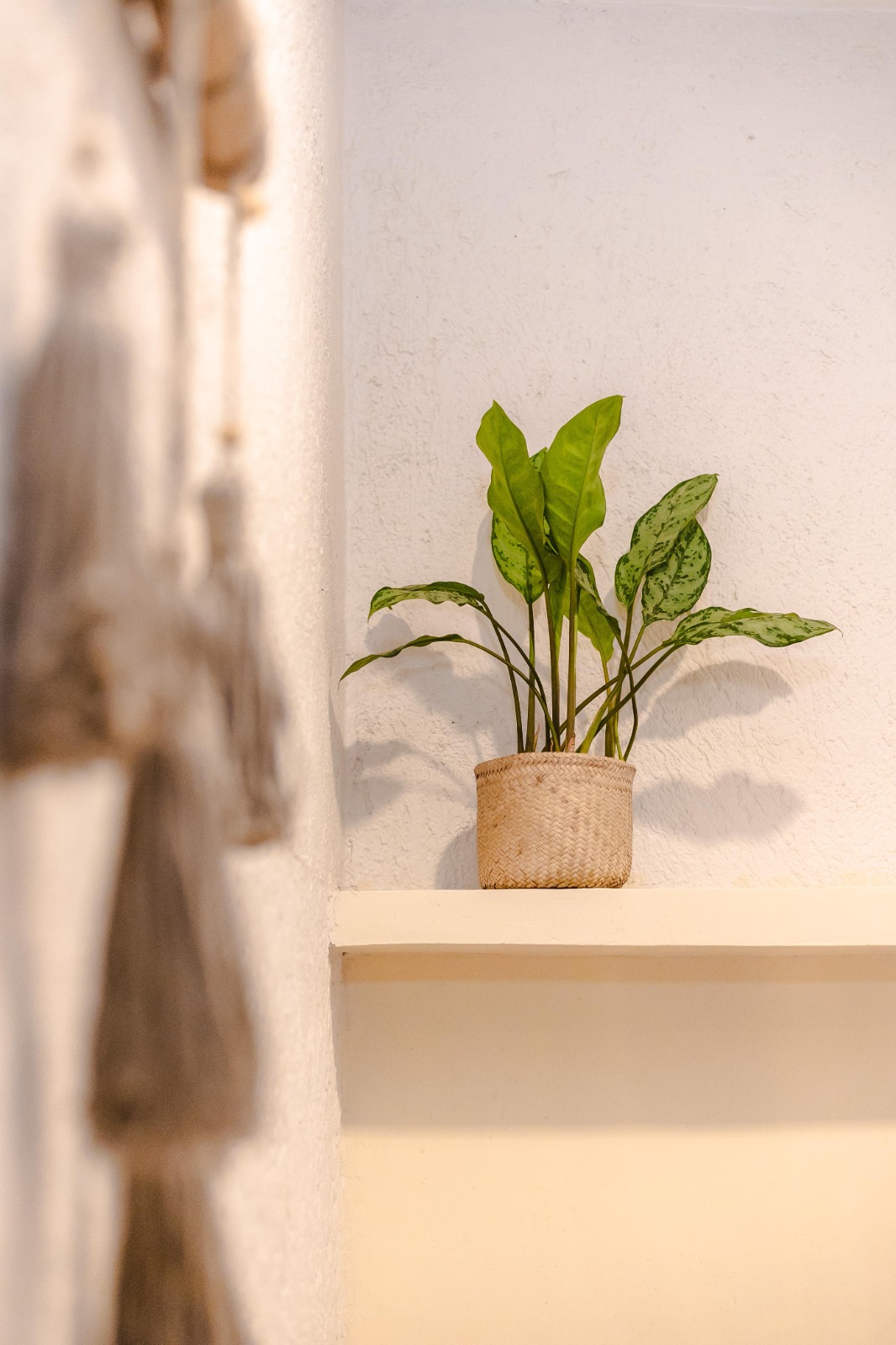 Studio Capacity 3 One Bedroom