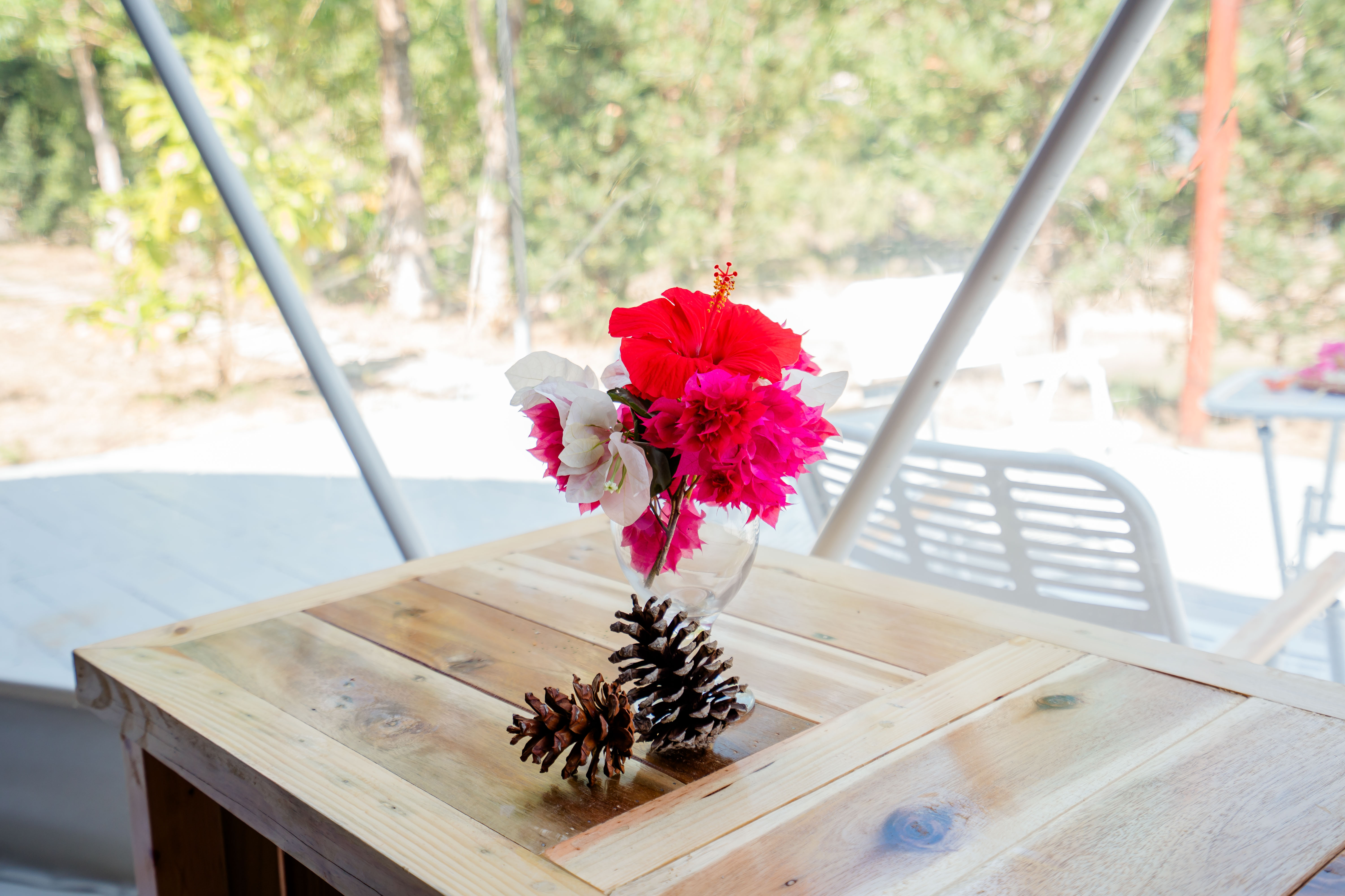 Family Room Two Double Beds