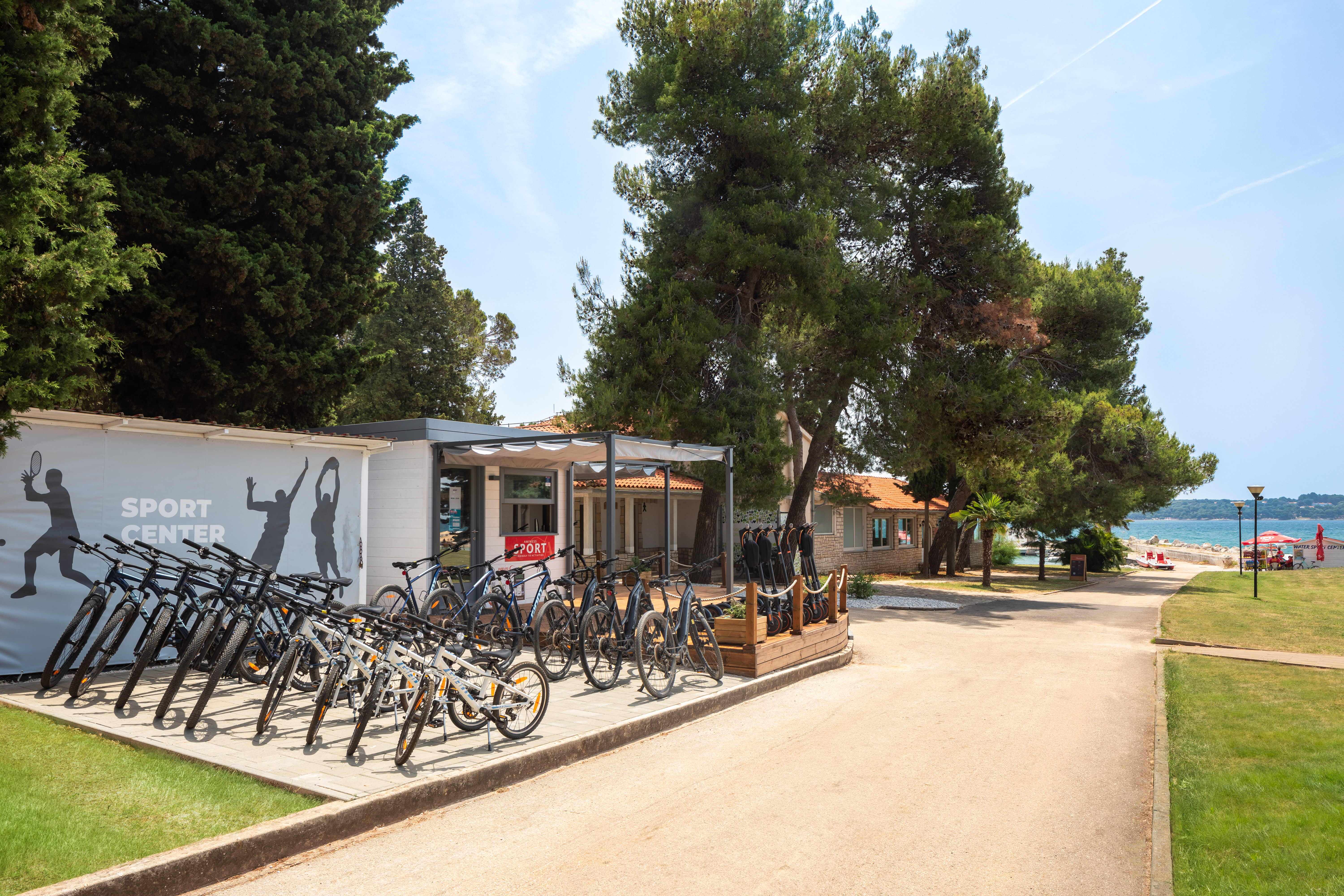 Sports and Entertainment