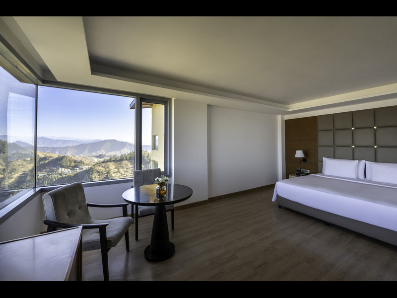 Double Deluxe Mountain View