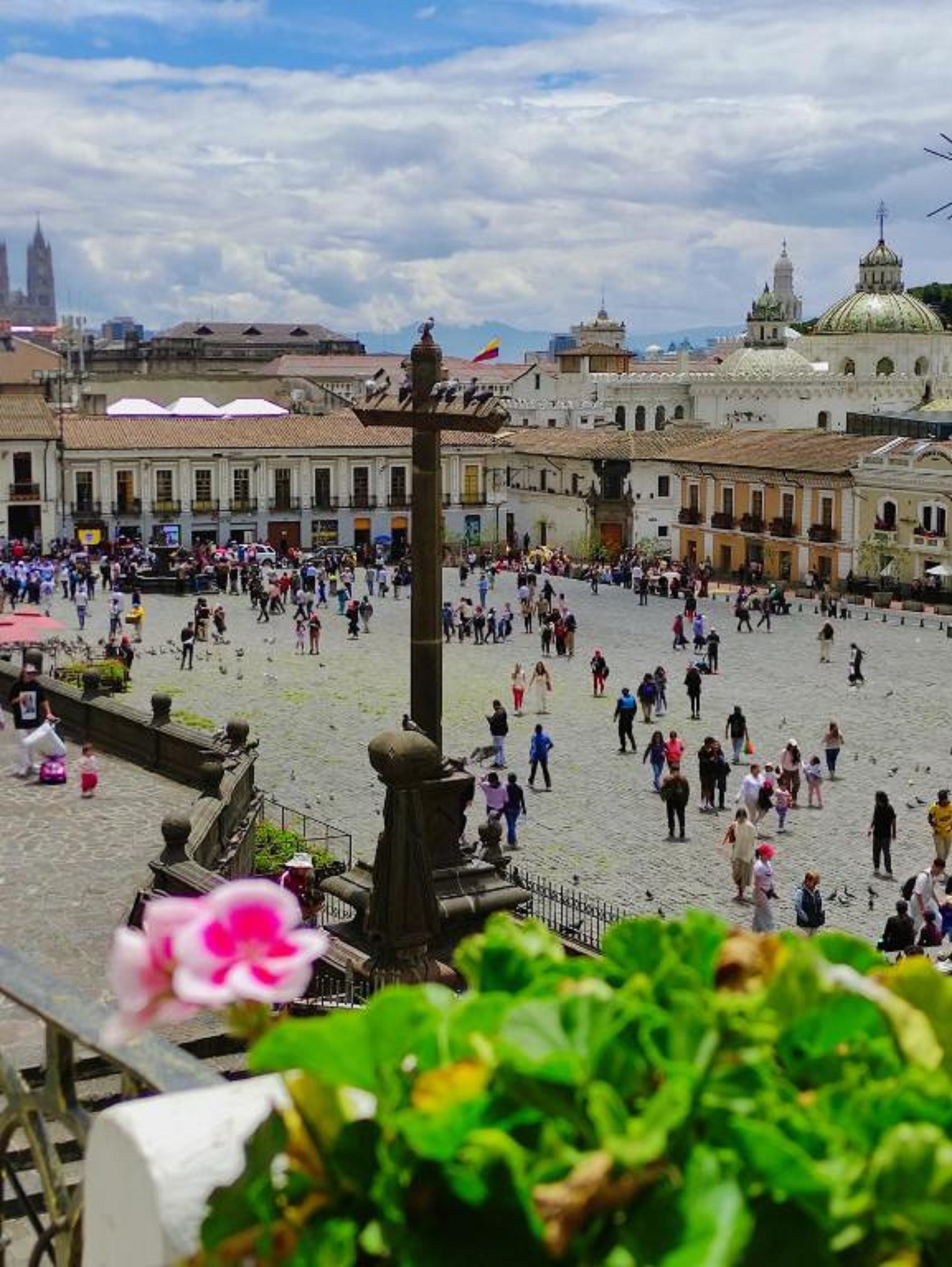 Junior Suite Queen Size Bed