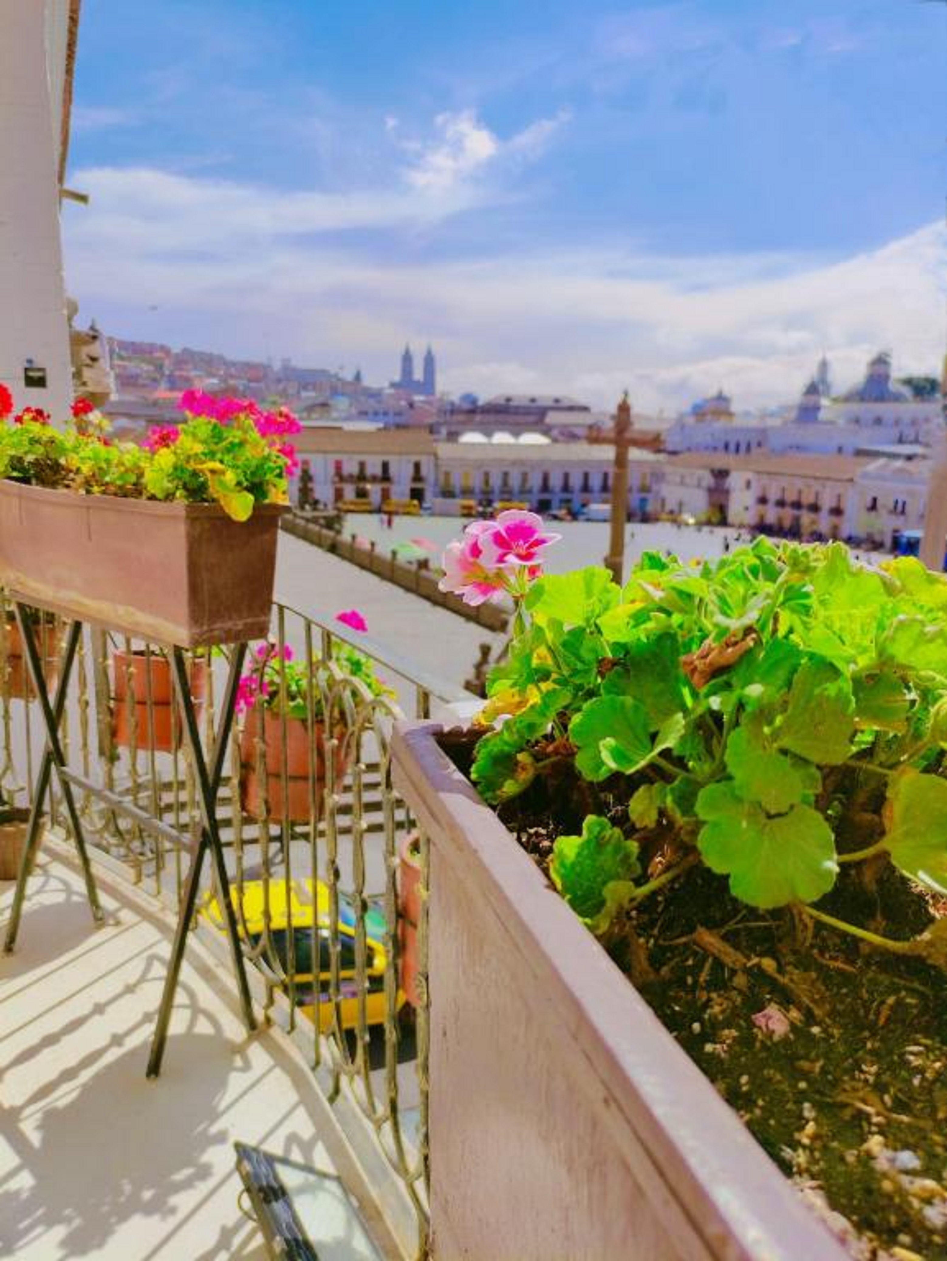 Junior Suite Queen Size Bed