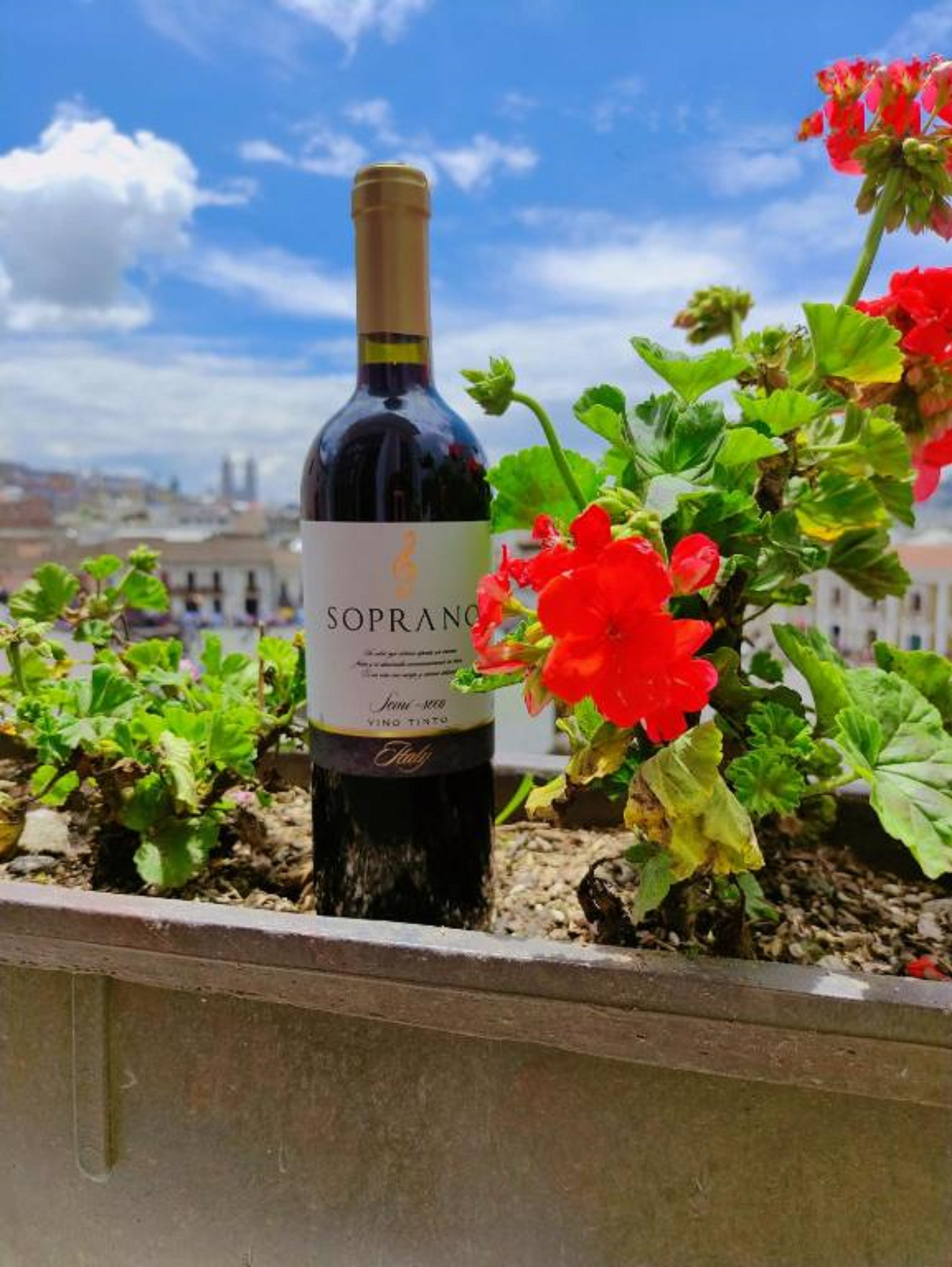 Junior Suite Queen Size Bed