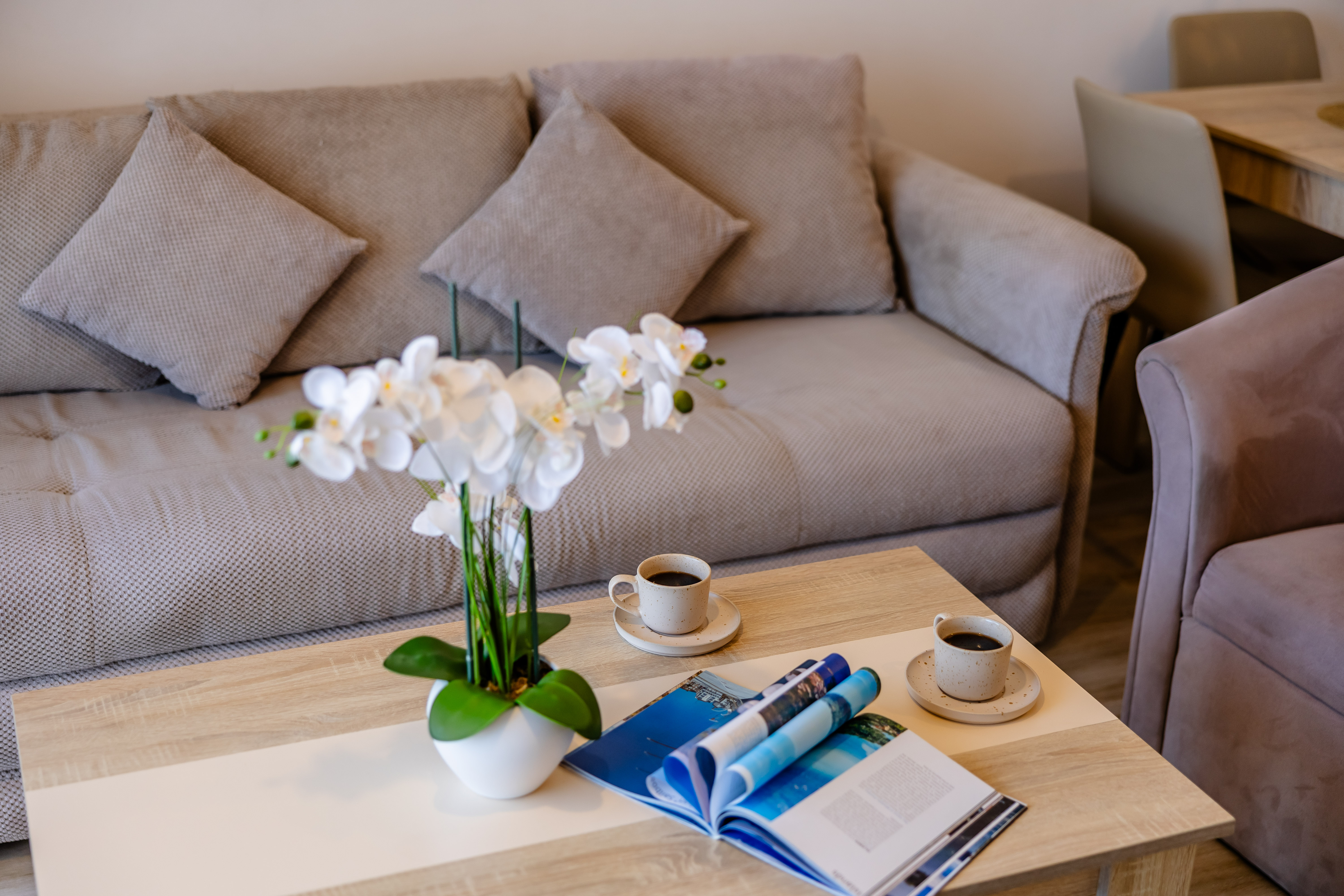 Apartment One Bedroom