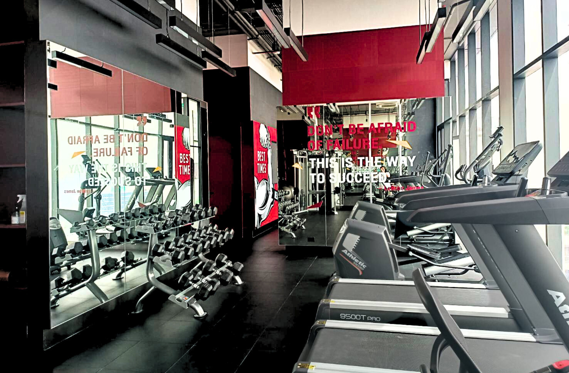 Sports and Entertainment