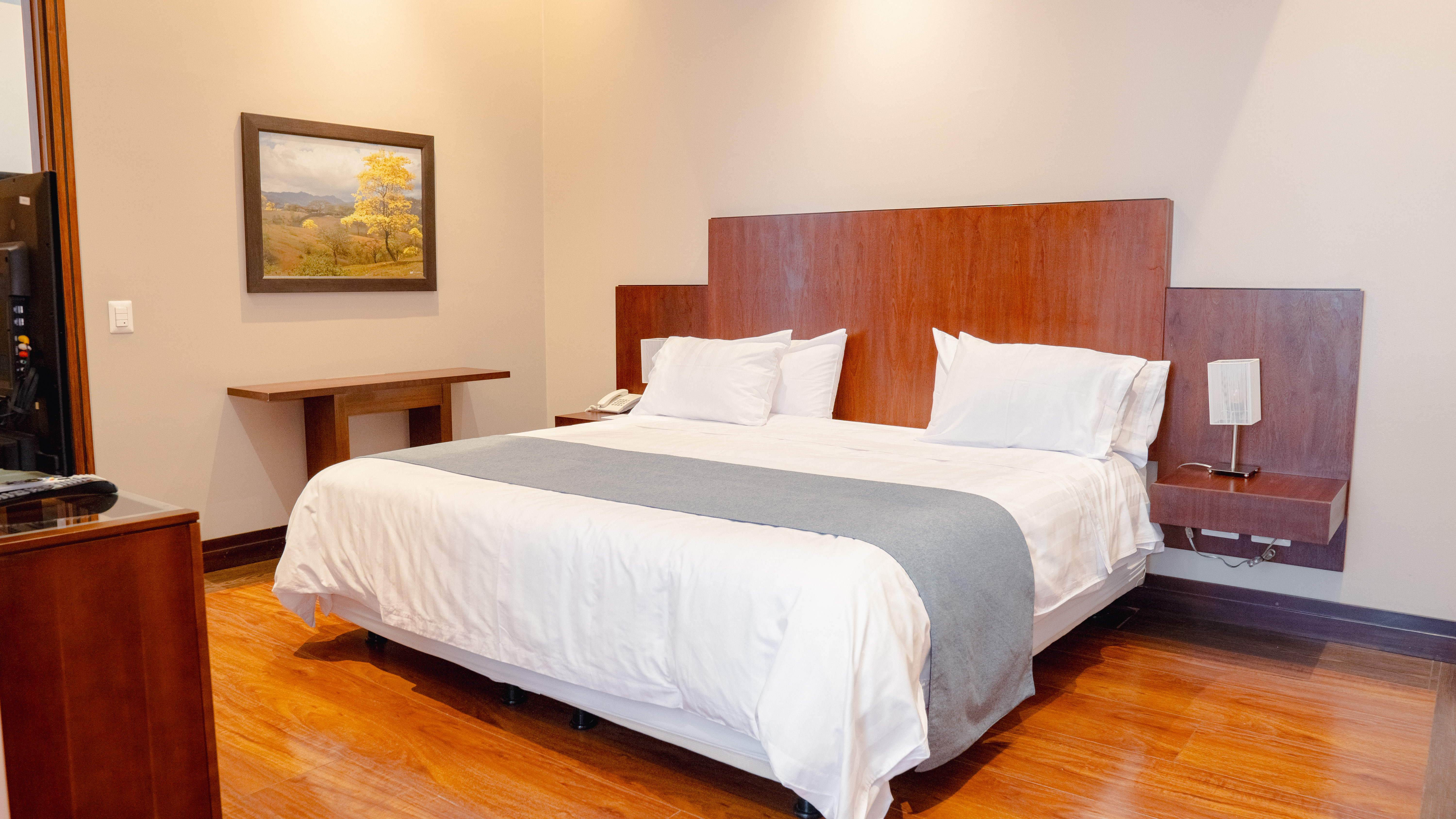 Suite Luxury City View