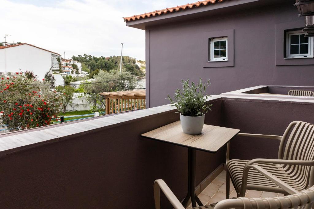 Junior Suite Basement