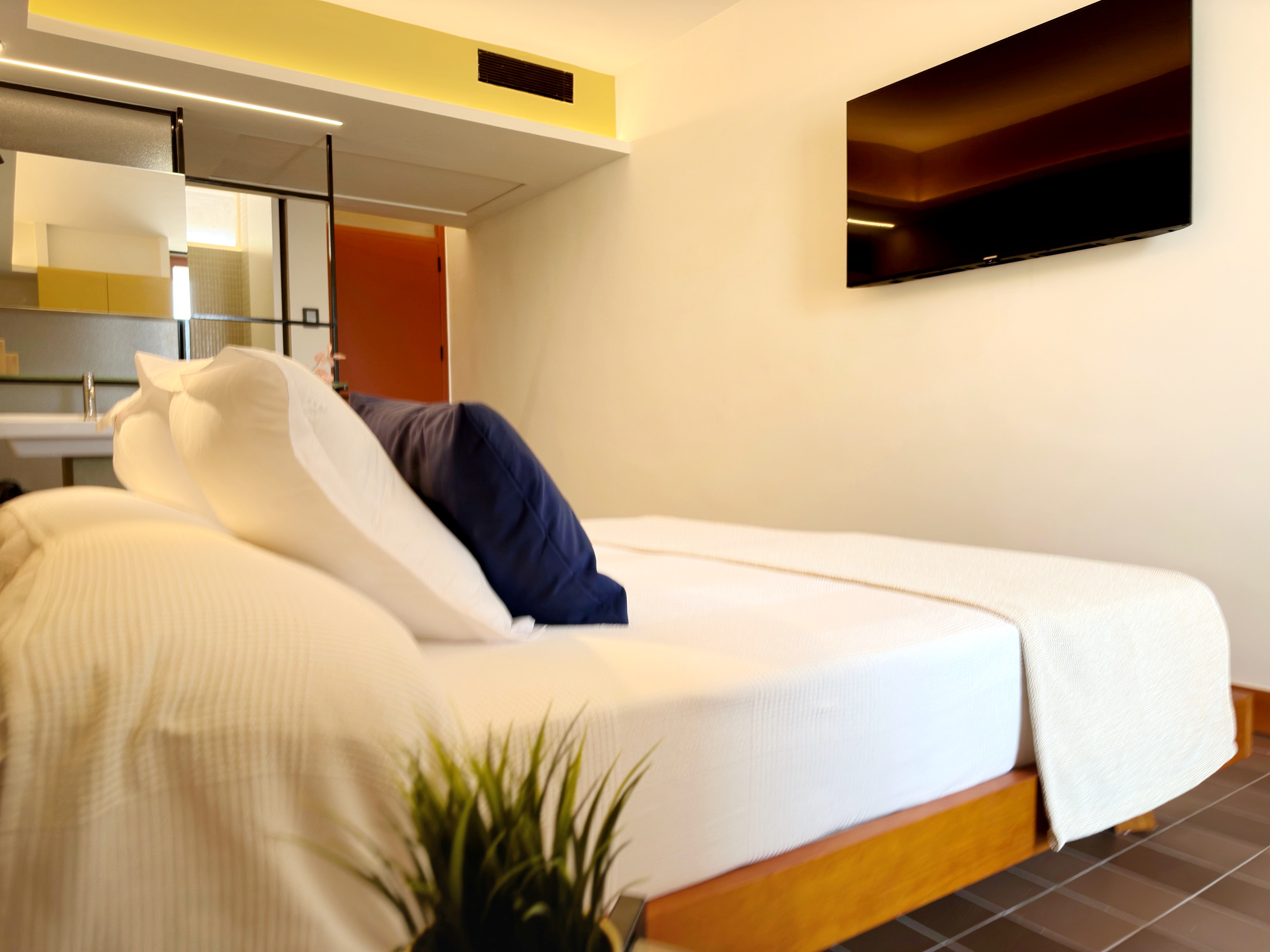 Double or Twin Standard