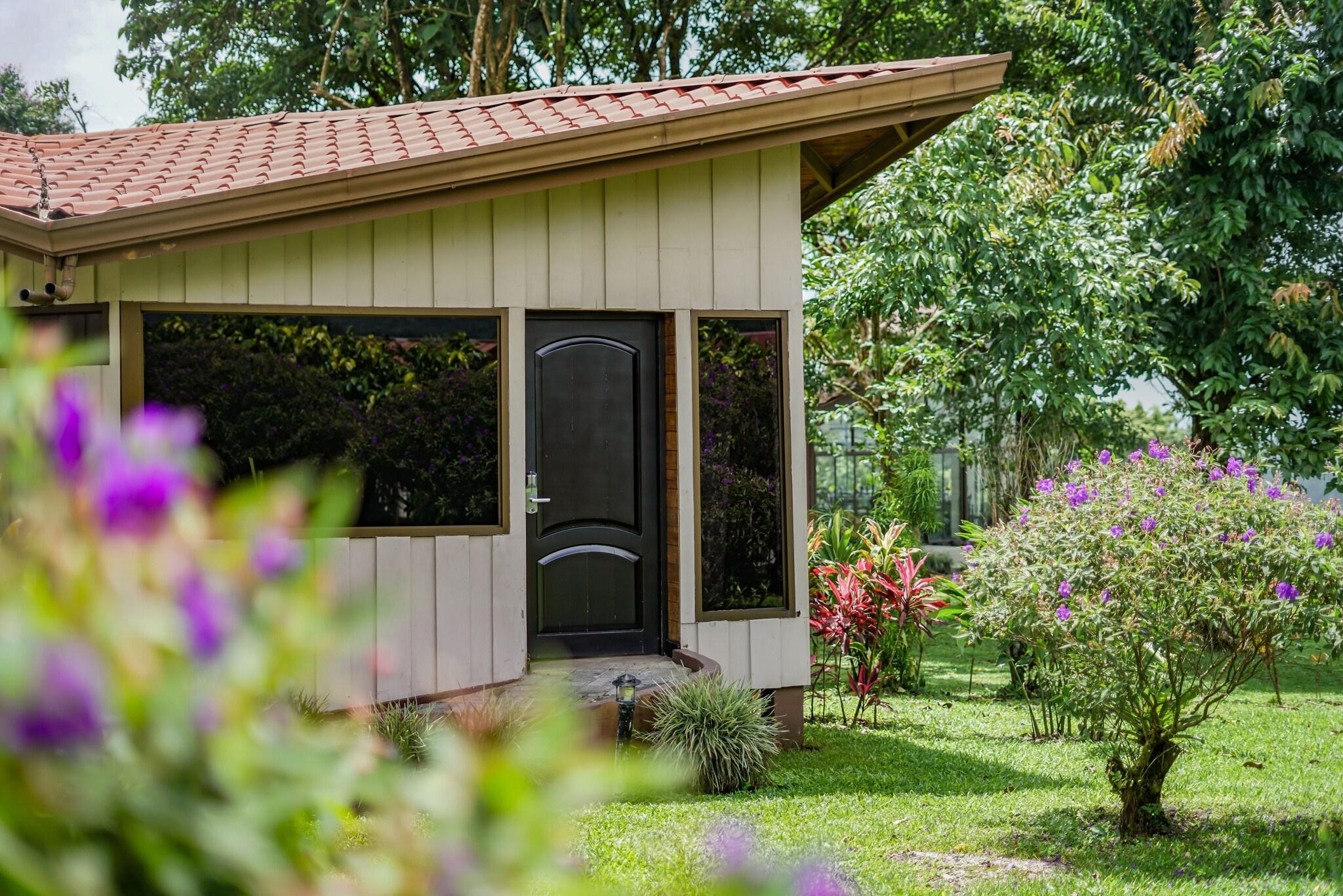 Junior Suite King Size Bed