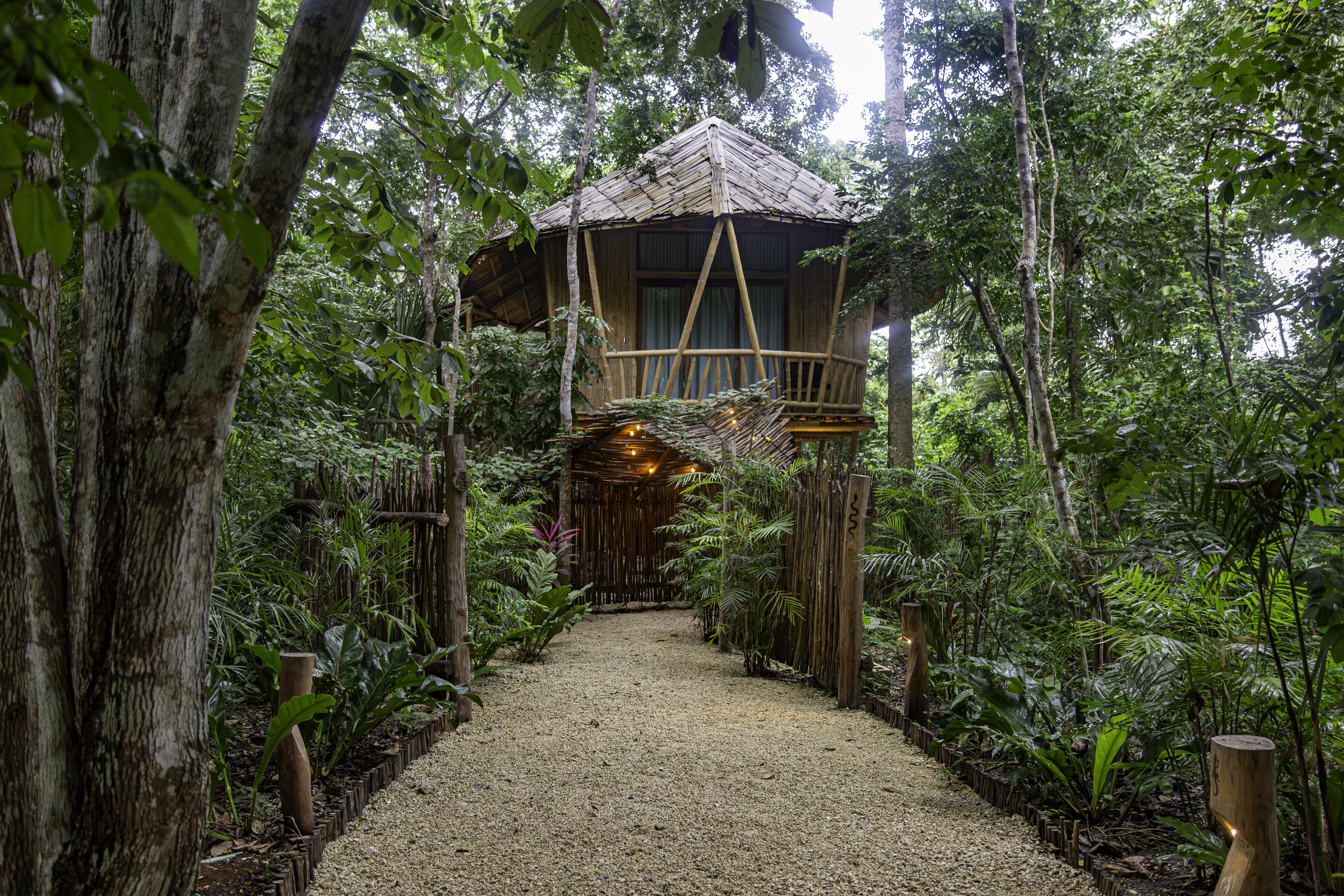 Suite King Bed with Jacuzzi