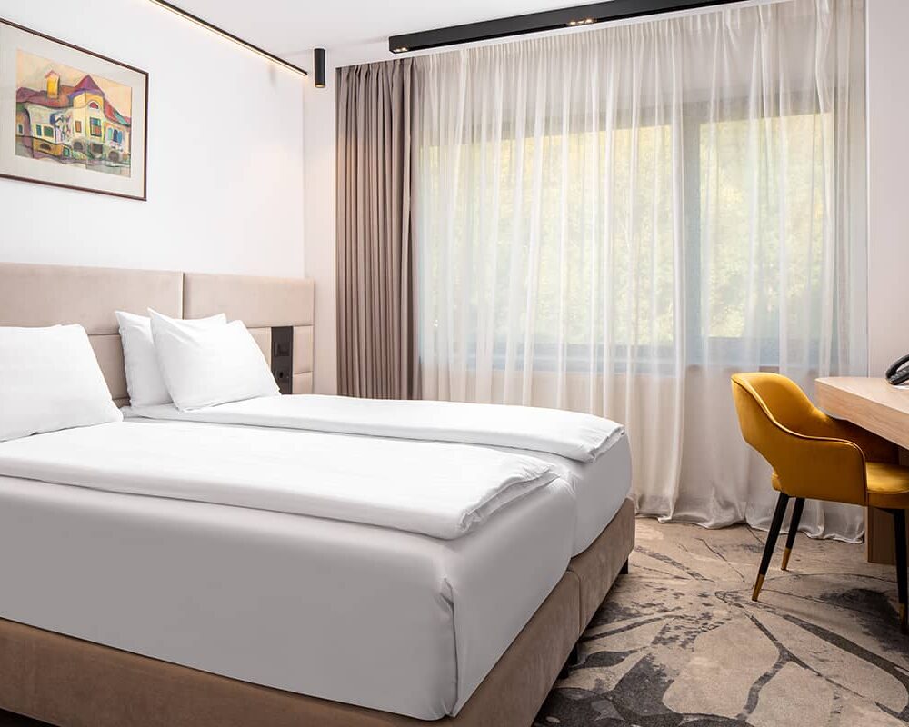 Double Mountain View