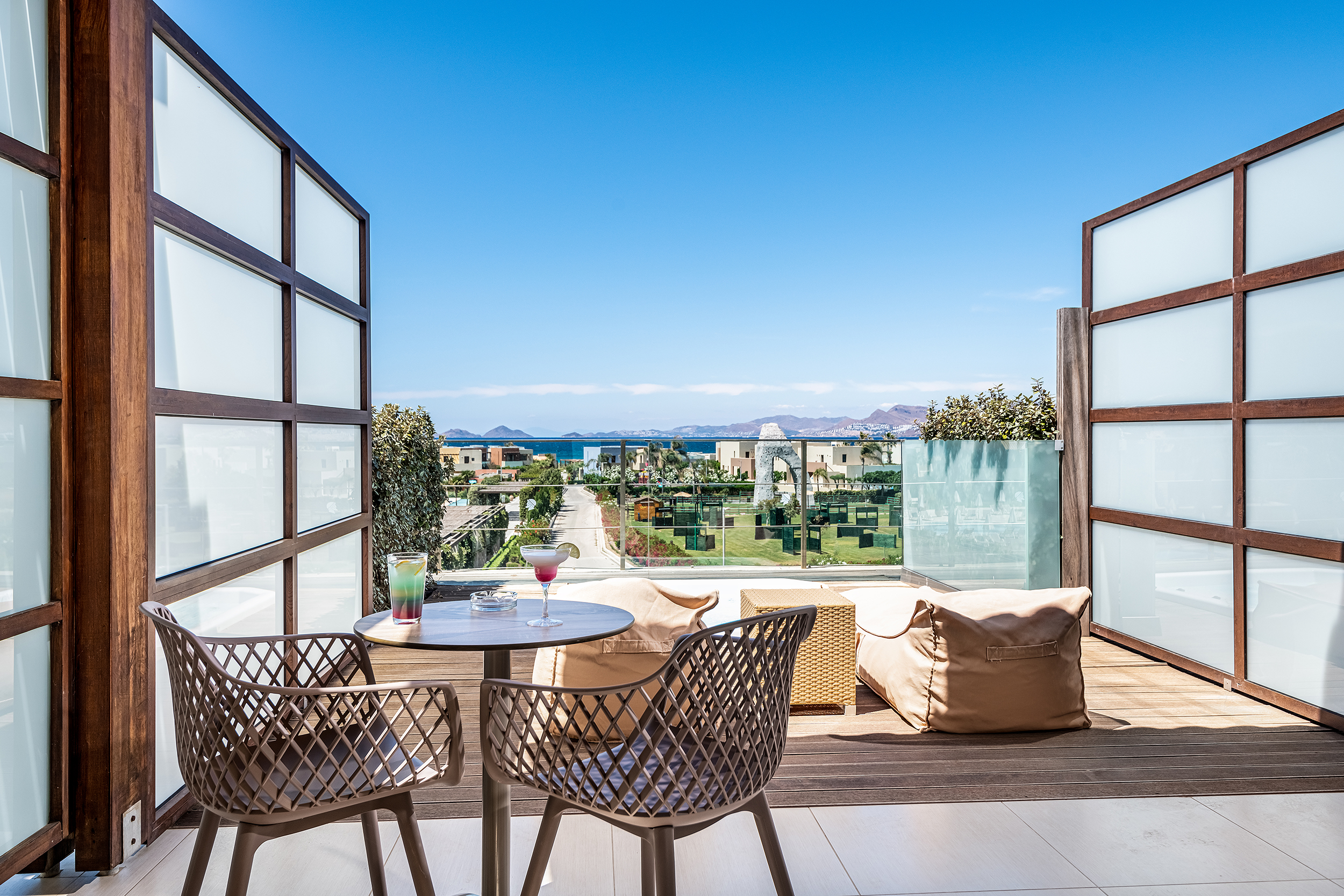 Double or Twin Executive