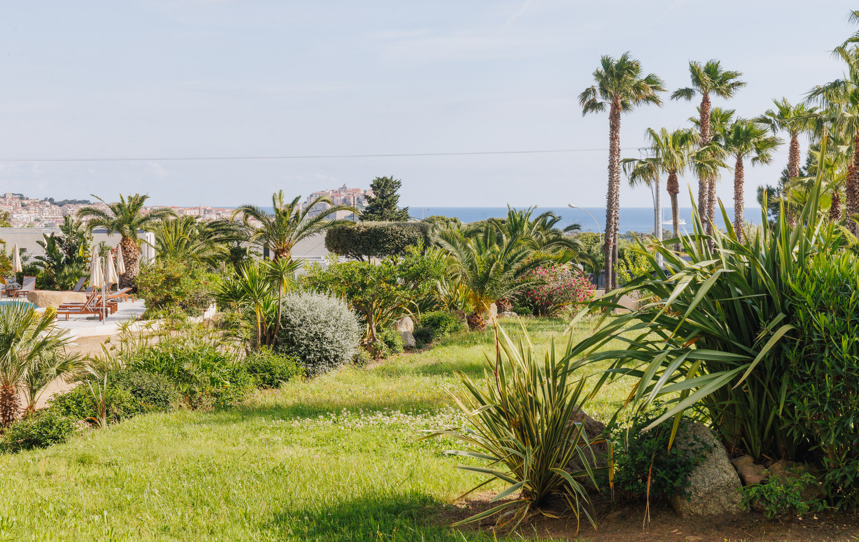 Double Classic Garden View