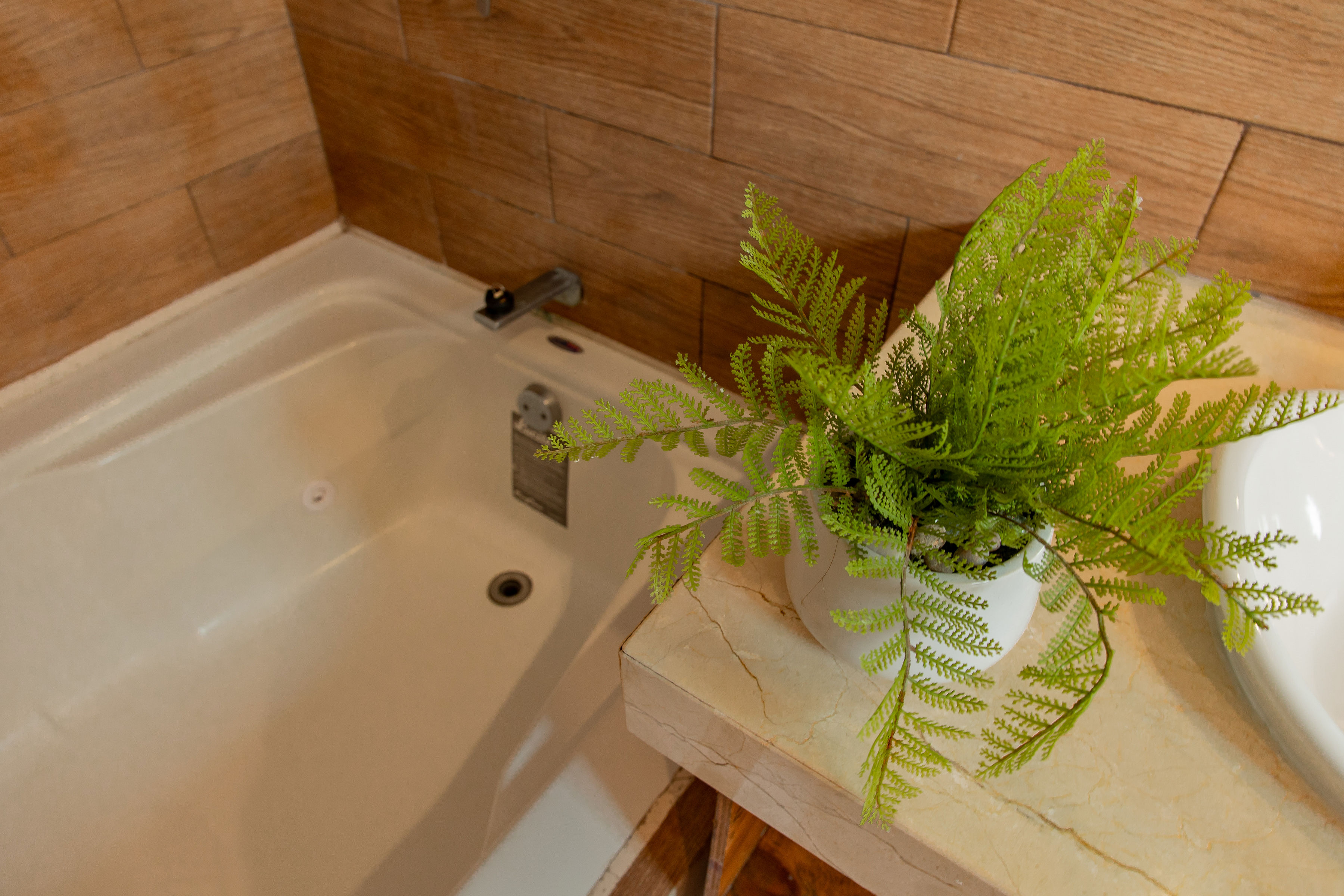 Apartment Beach Front Two Bedrooms