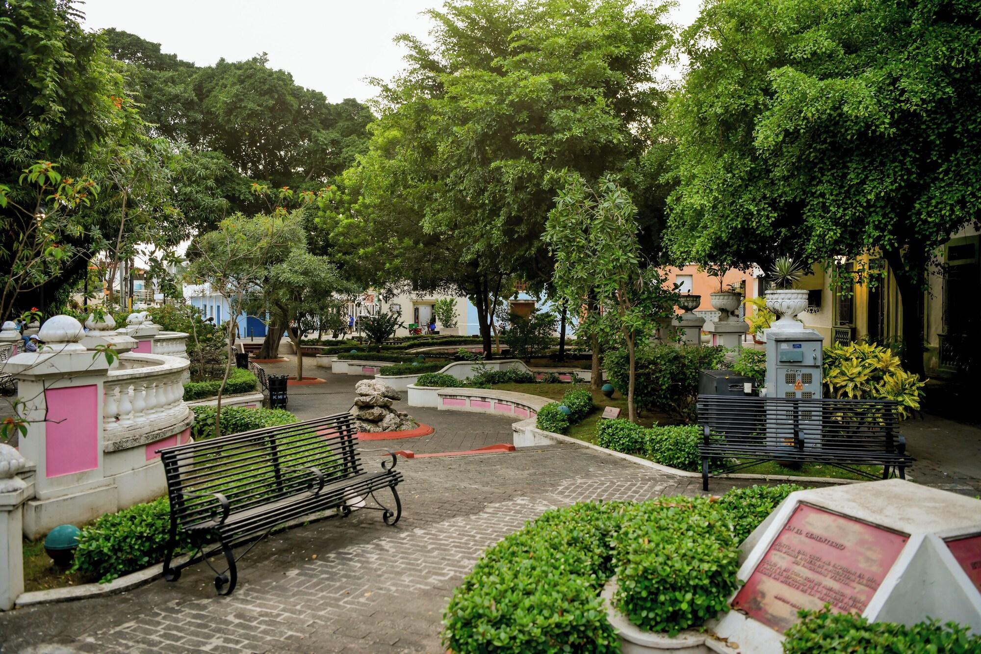General View