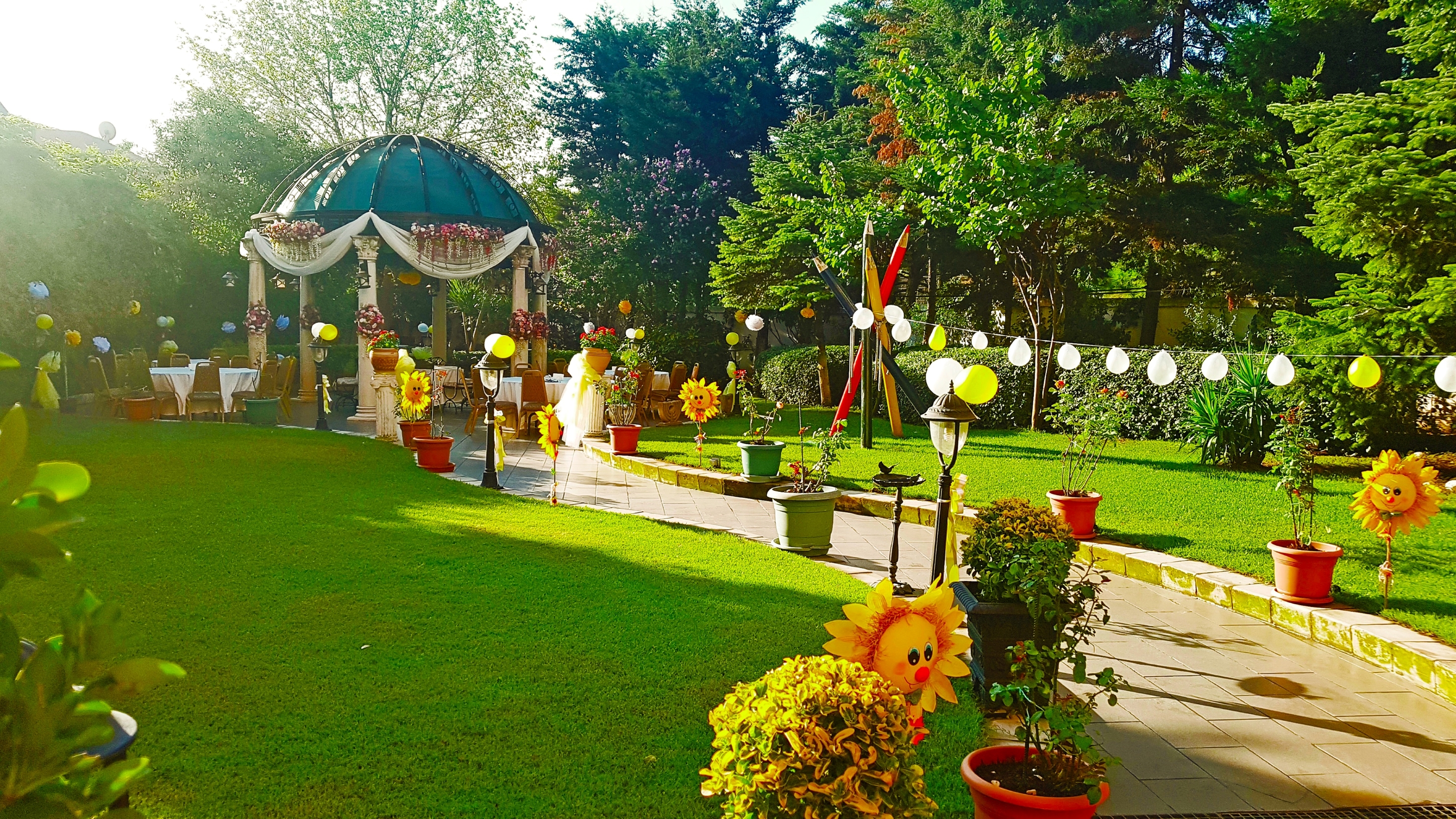 Sports and Entertainment