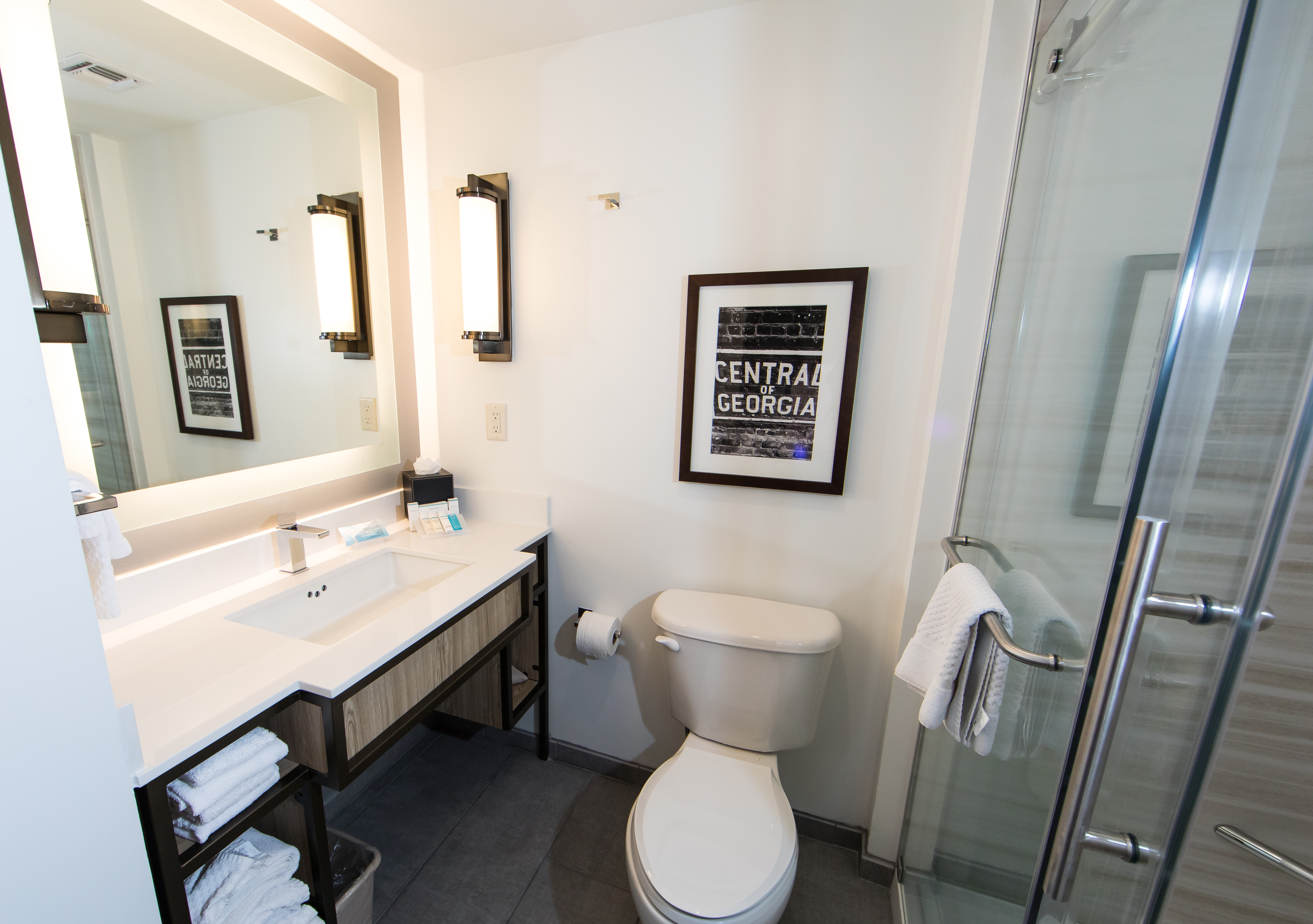 Suite King Bed One Bedroom 