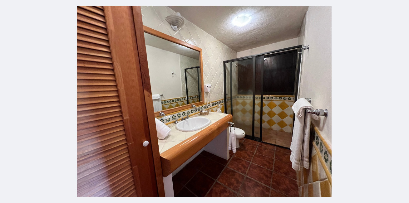 Suite King Bed One Bedroom 