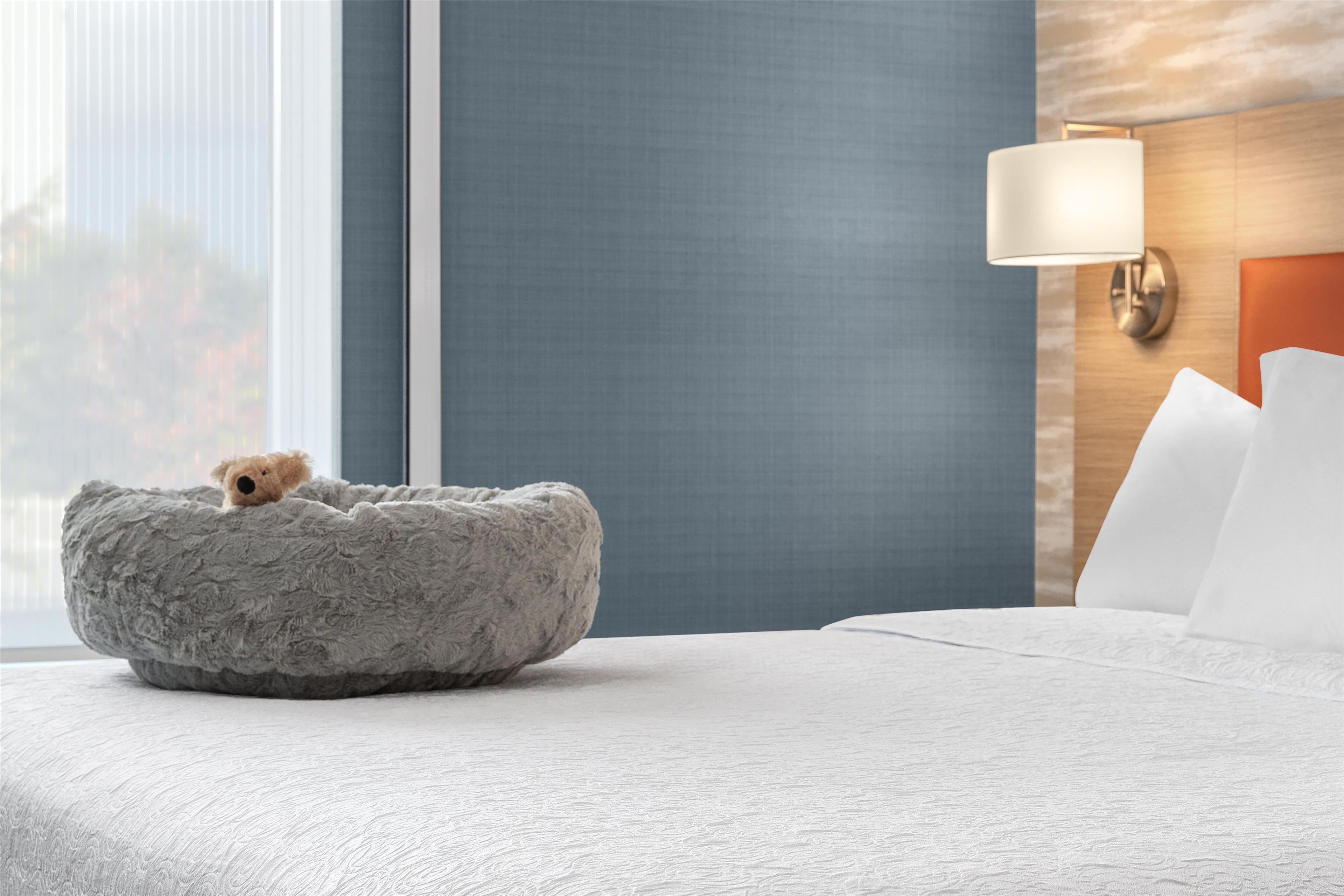 Studio King Size Bed