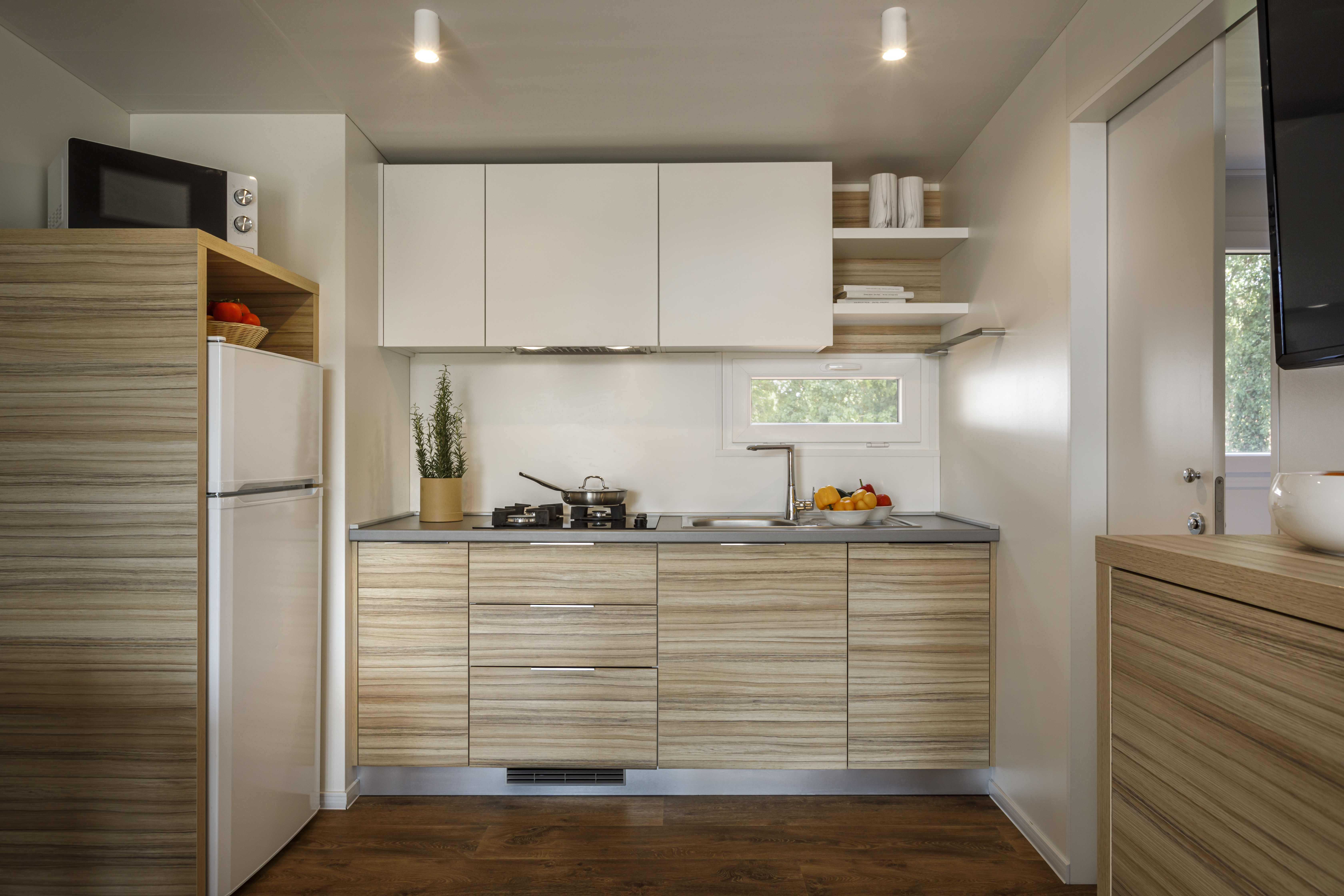 Mobile Home Standard